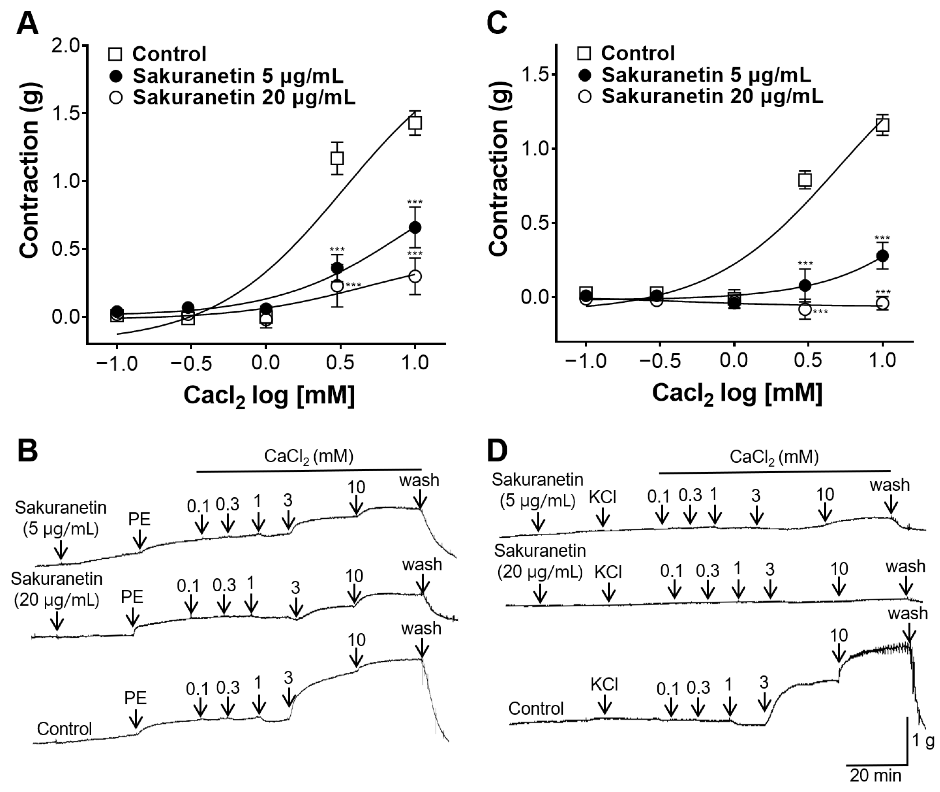 Biomedicines 12 00346 g004