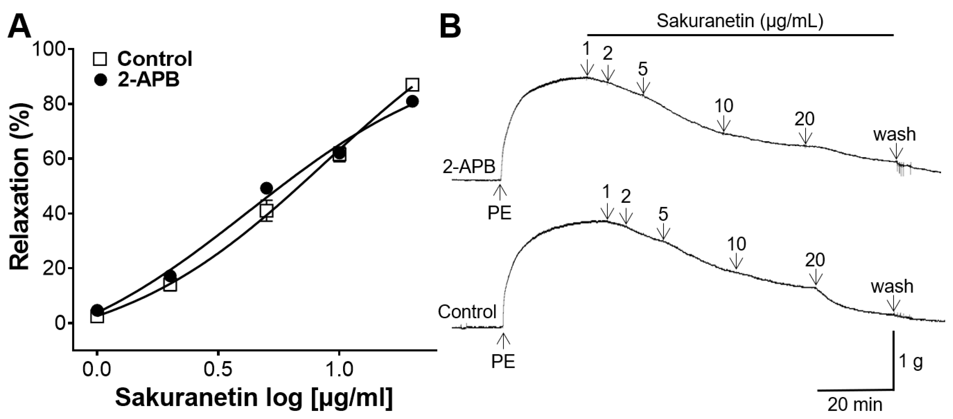 Biomedicines 12 00346 g005