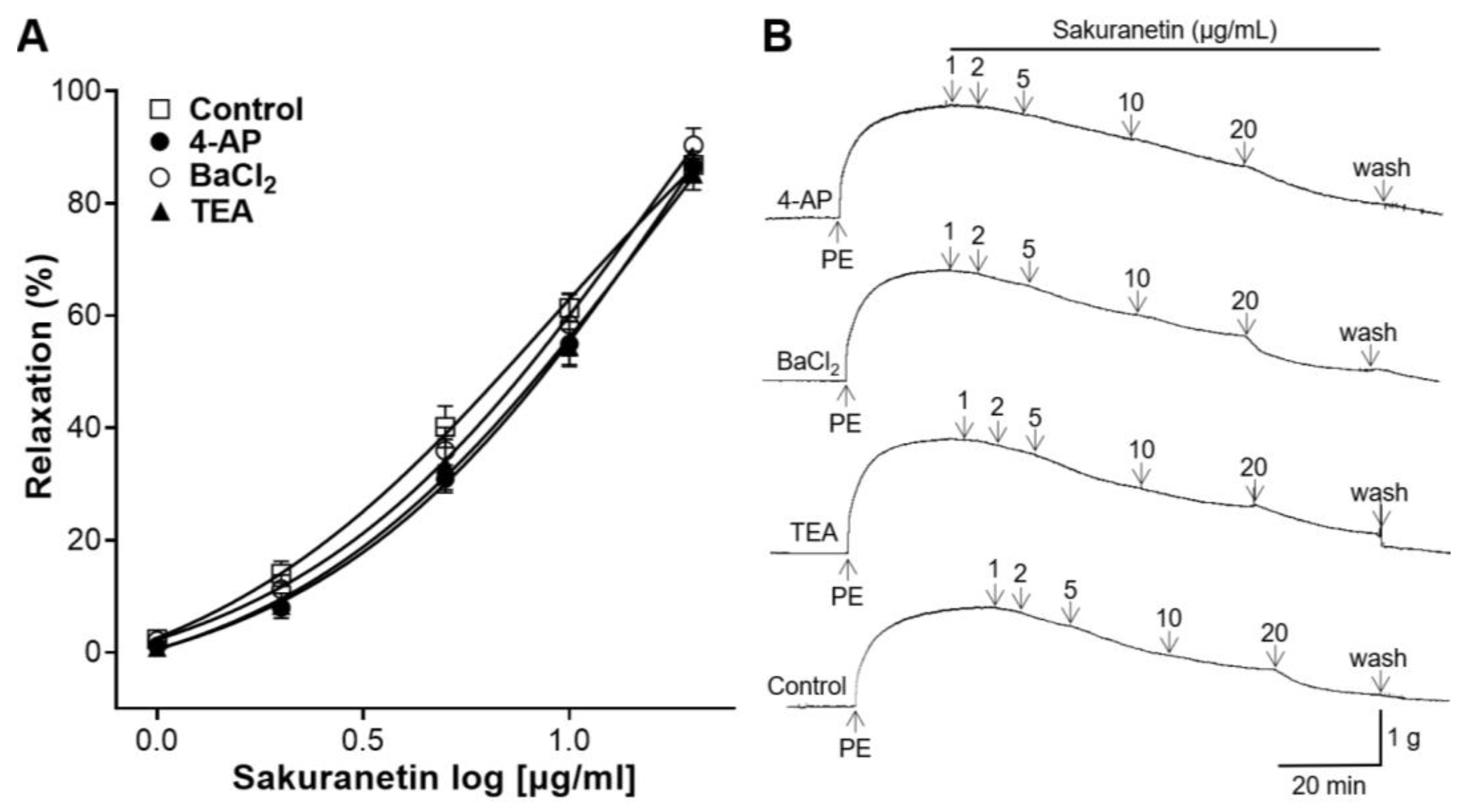 Biomedicines 12 00346 g006