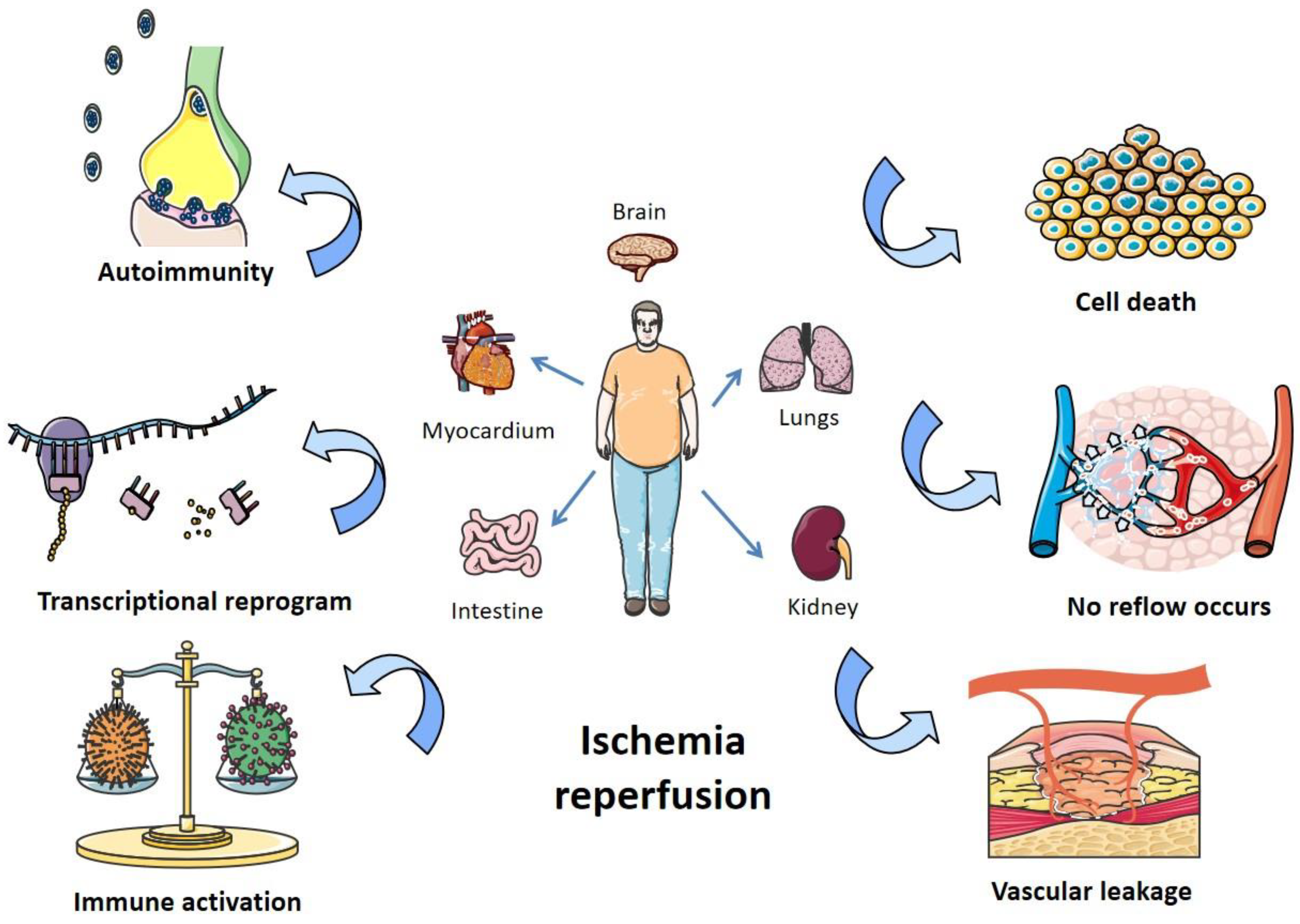 Biomedicines 12 00353 g001