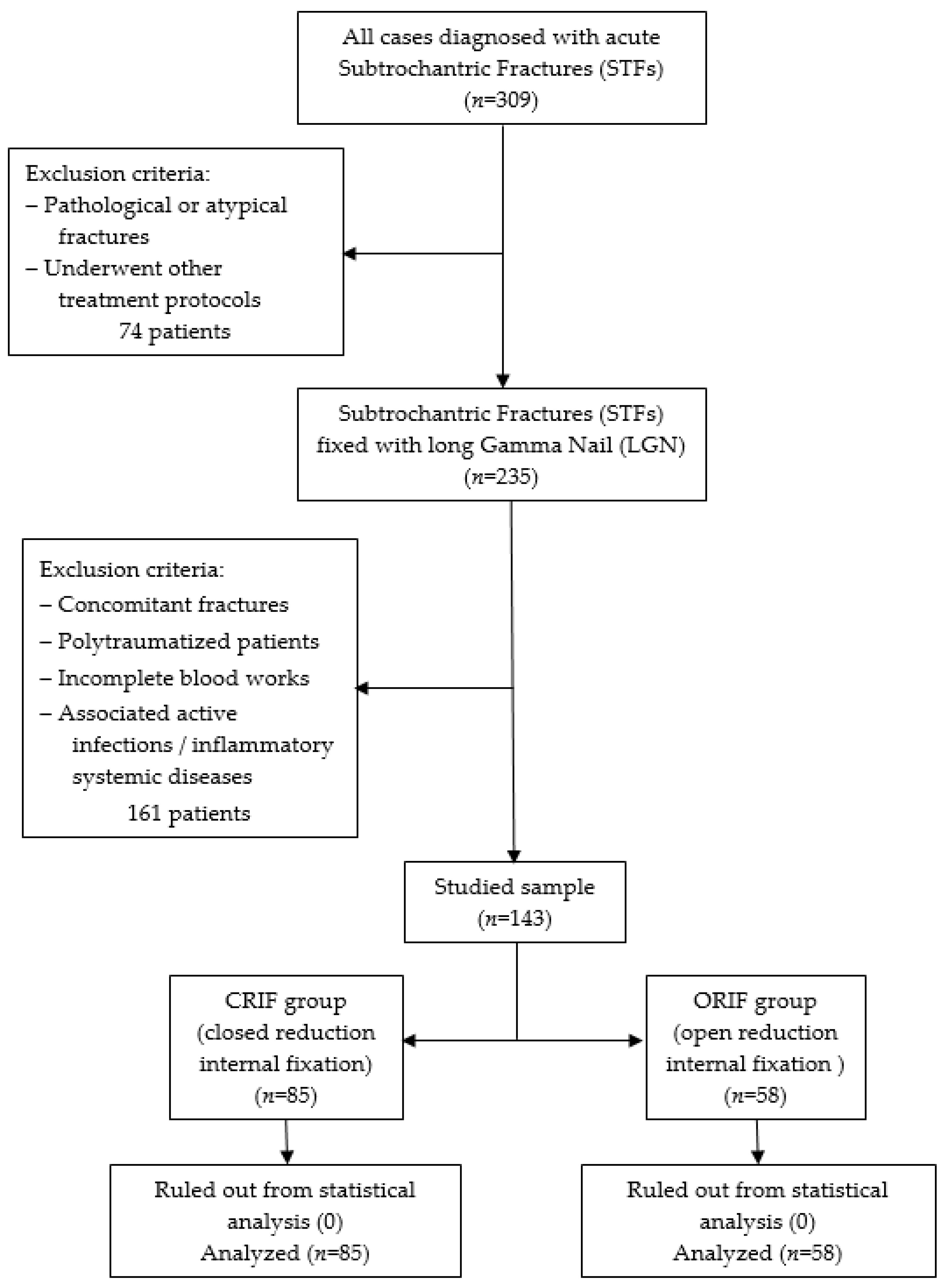 Biomedicines 12 00354 g001