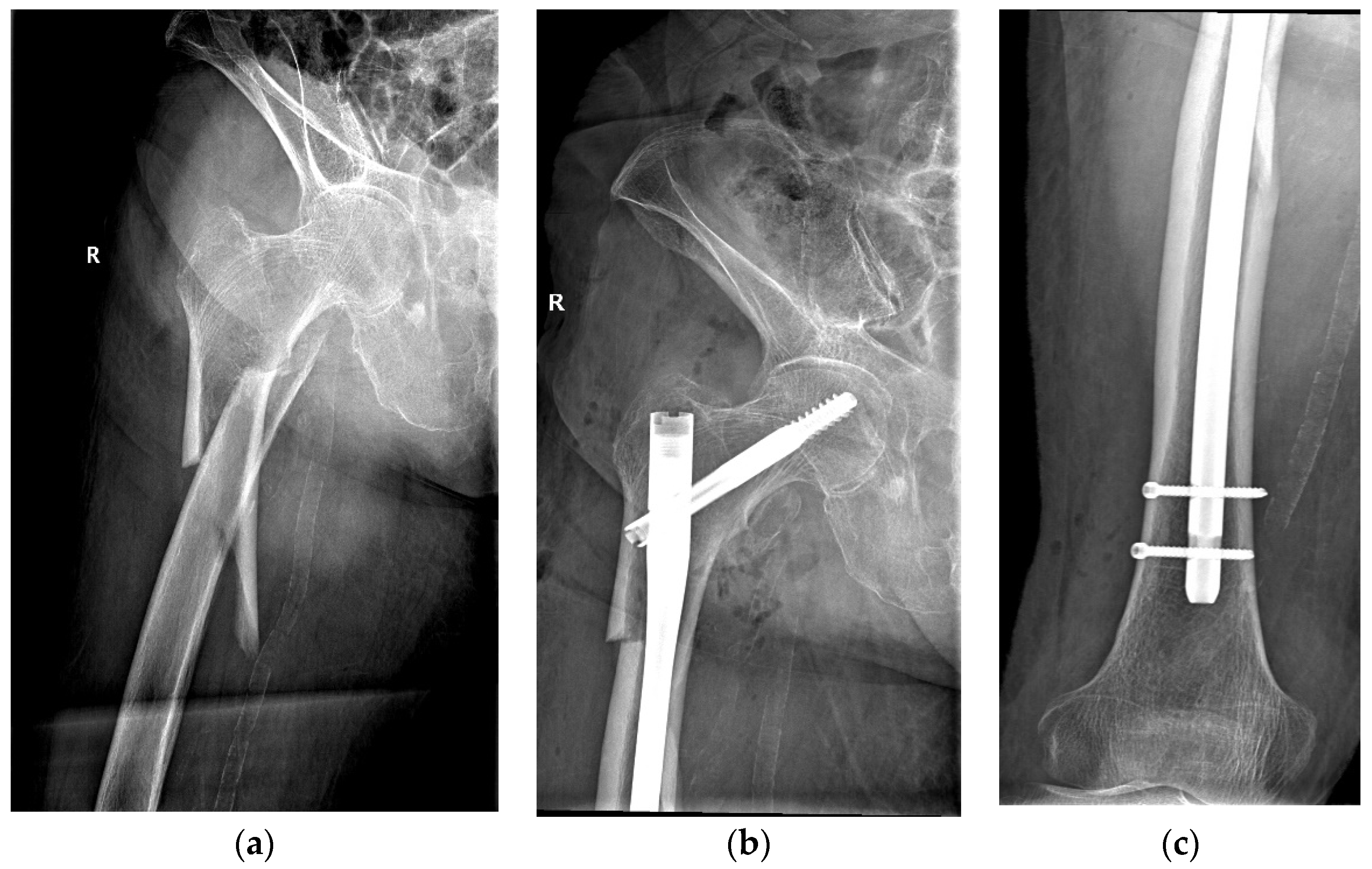 Biomedicines 12 00354 g002