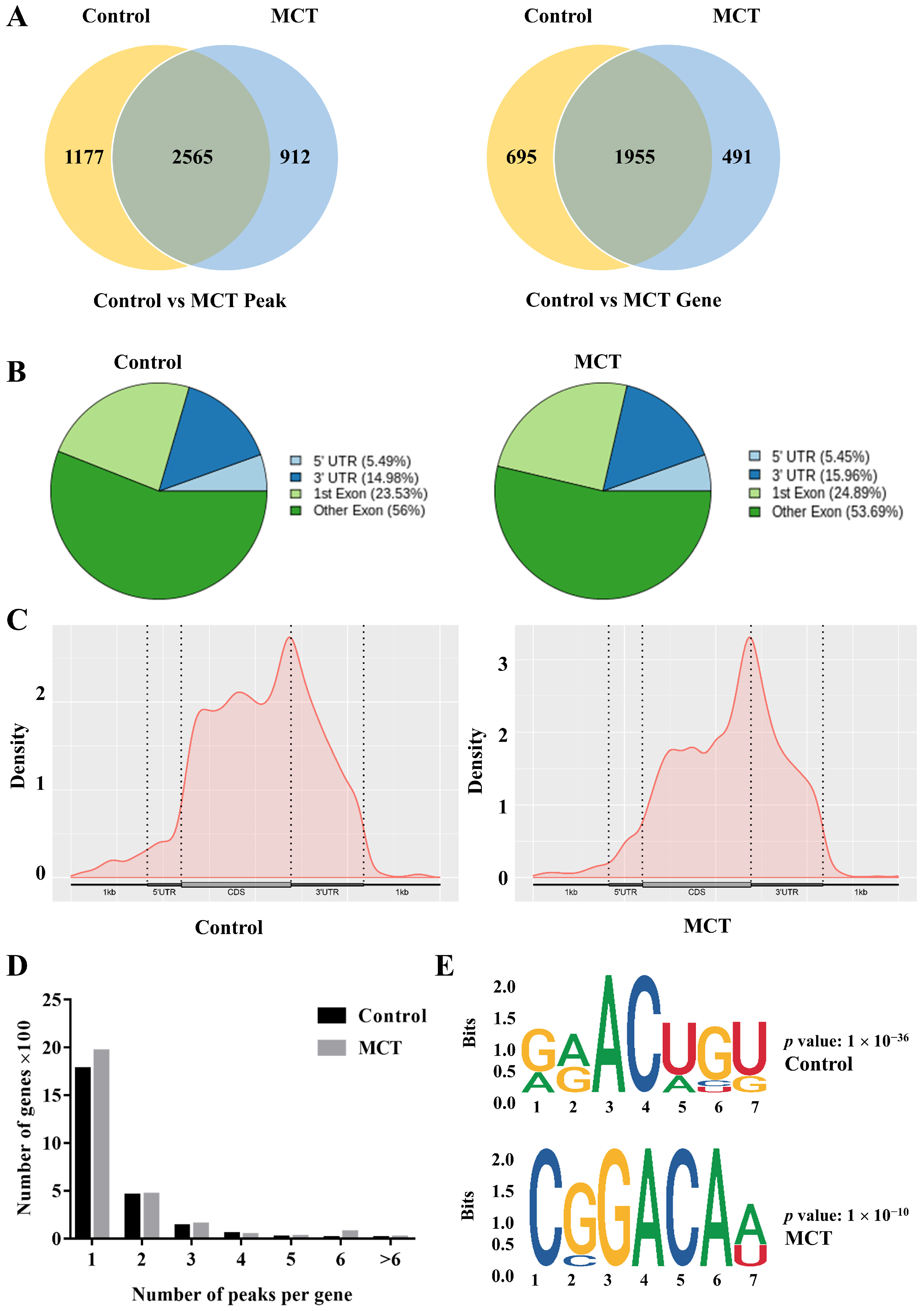 Biomedicines 12 00364 g001
