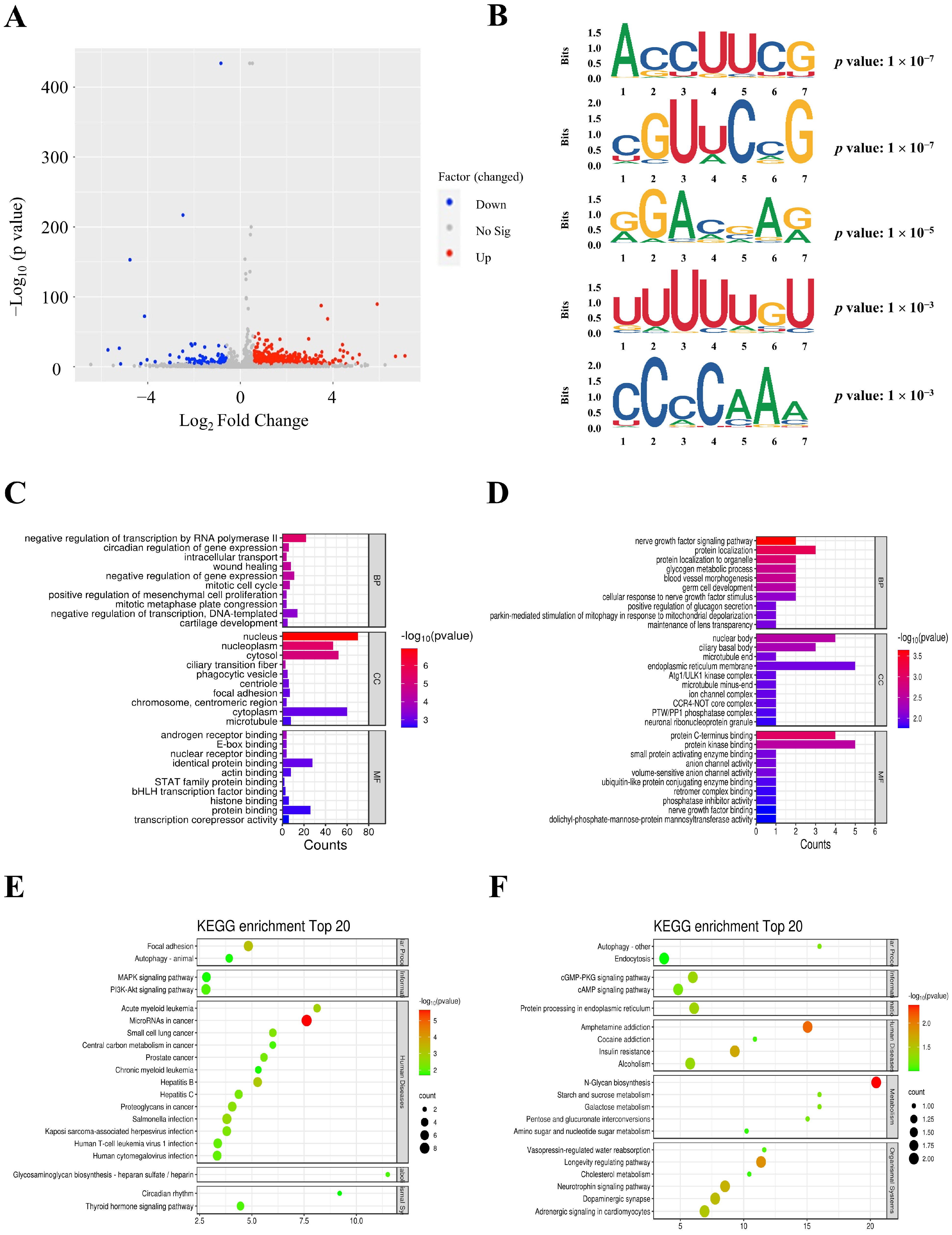 Biomedicines 12 00364 g002