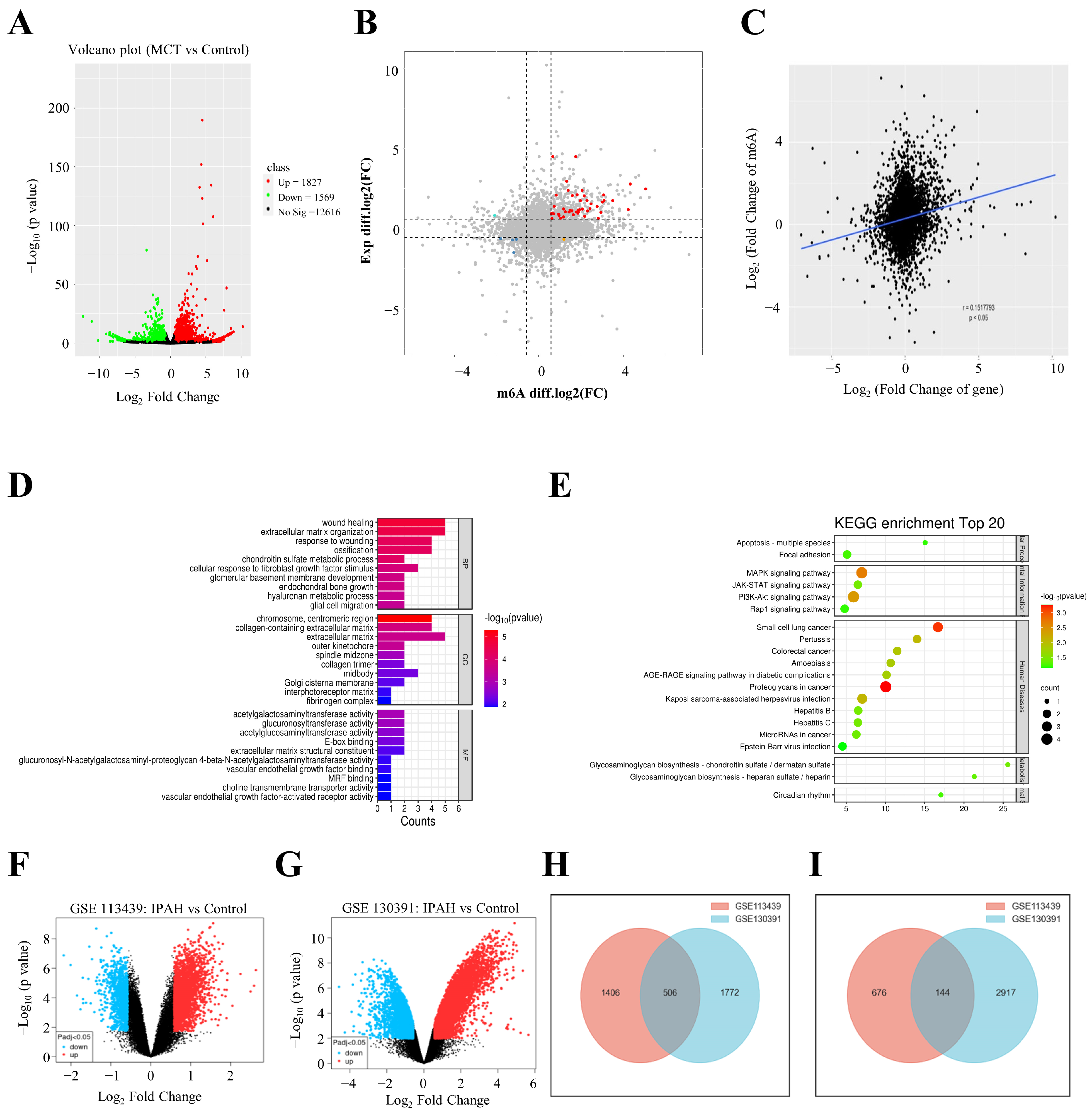 Biomedicines 12 00364 g003