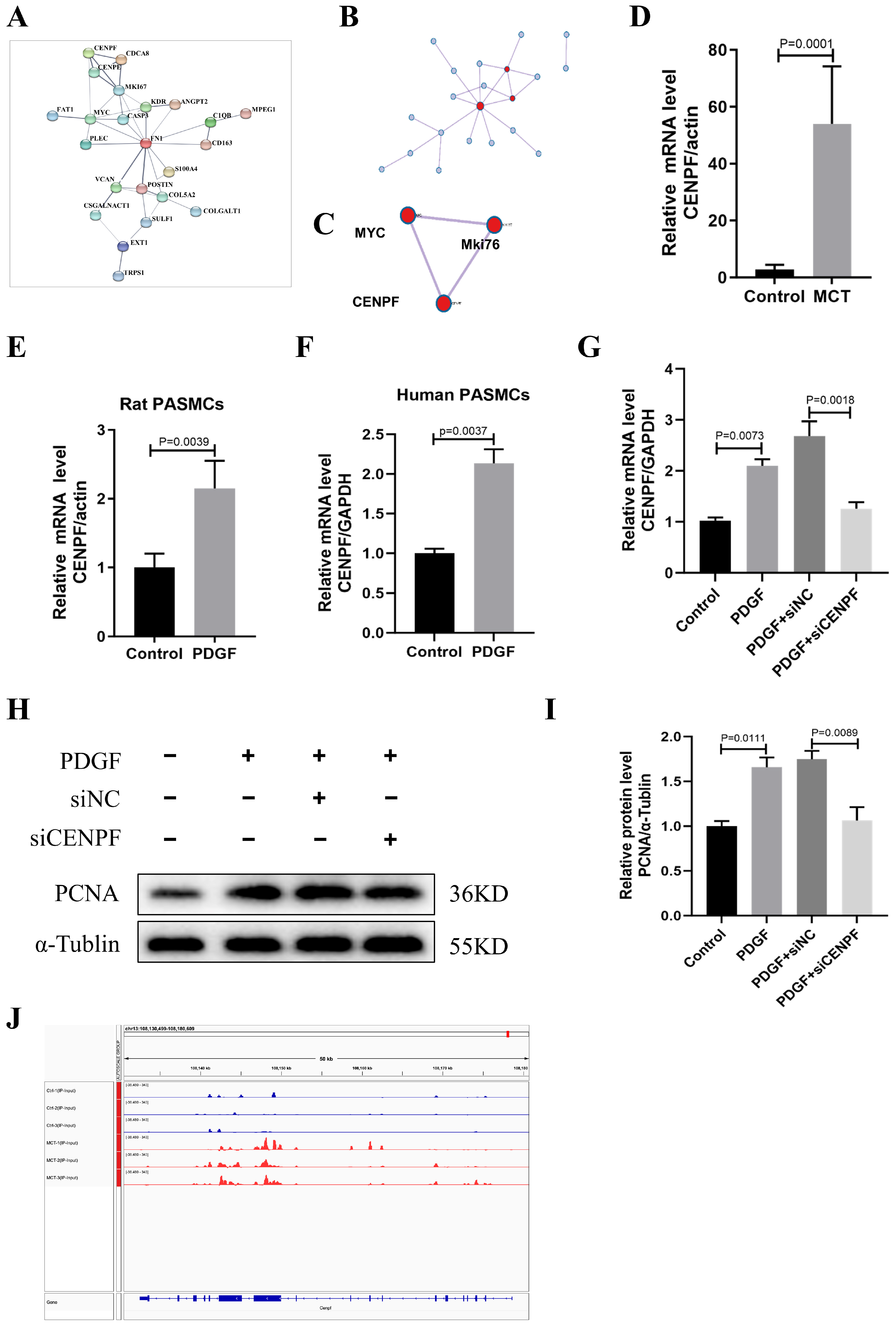 Biomedicines 12 00364 g004