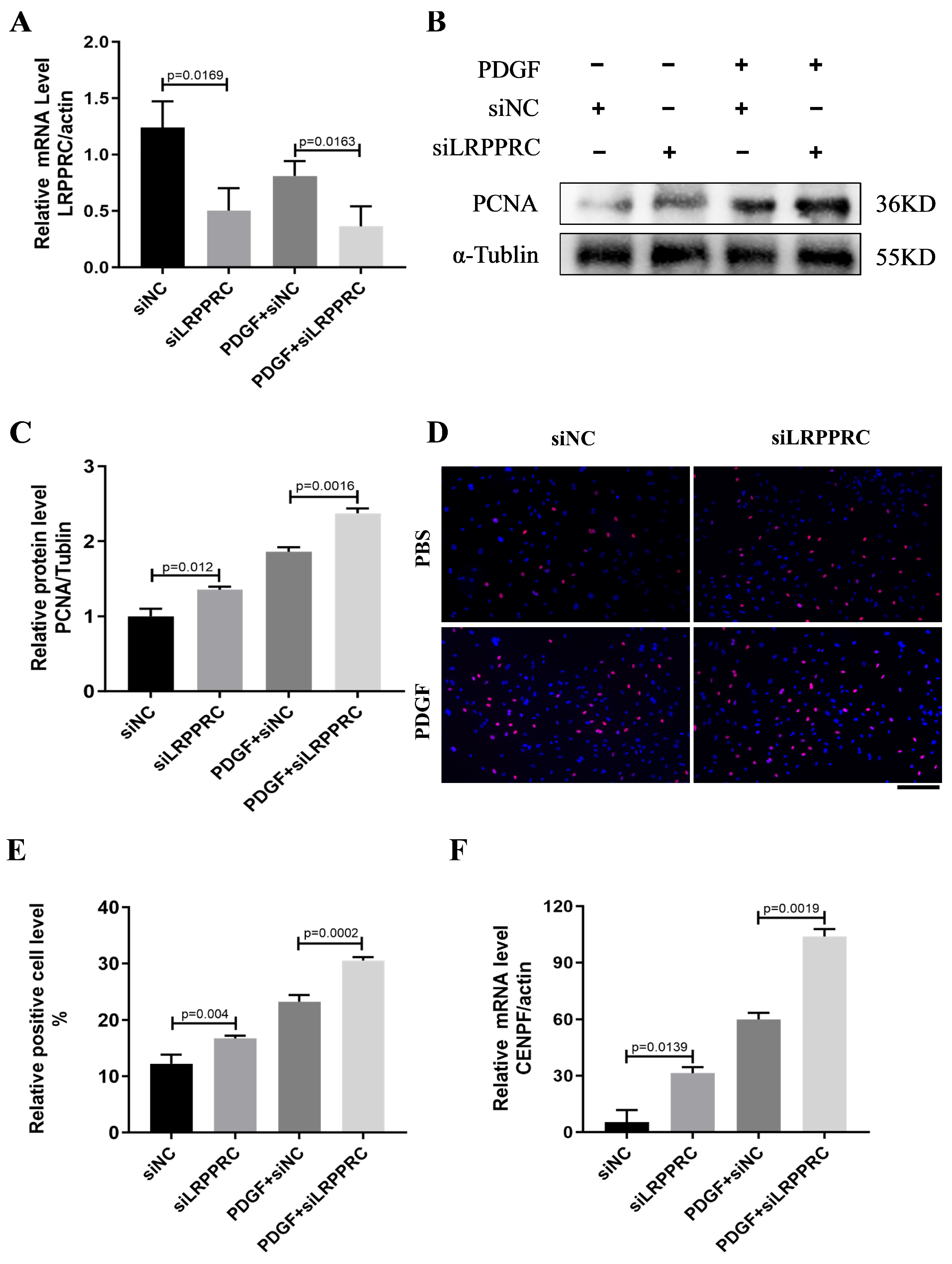 Biomedicines 12 00364 g006