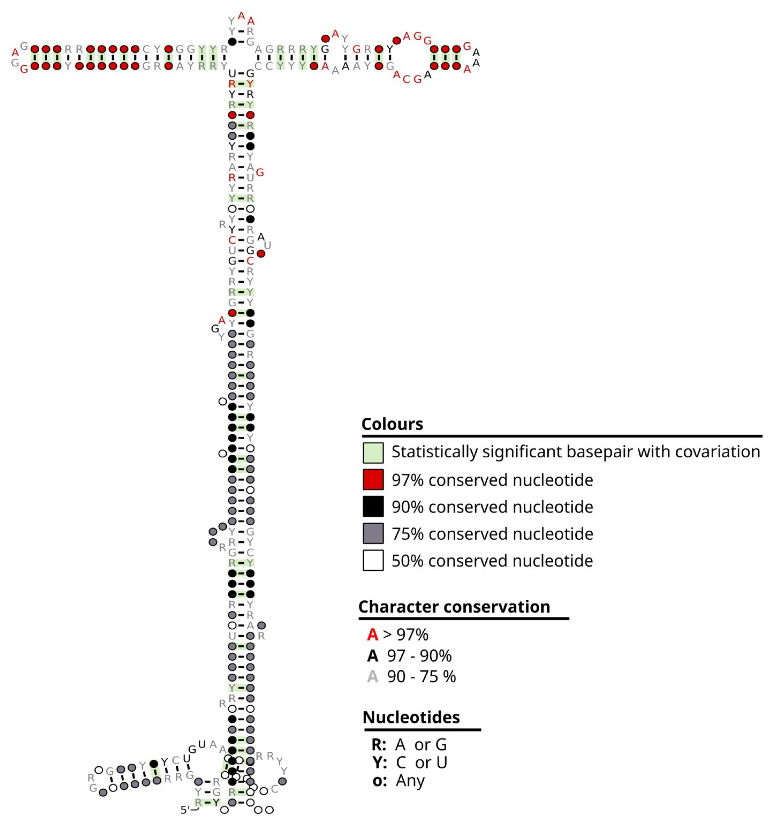 Biomedicines 12 00395 g004