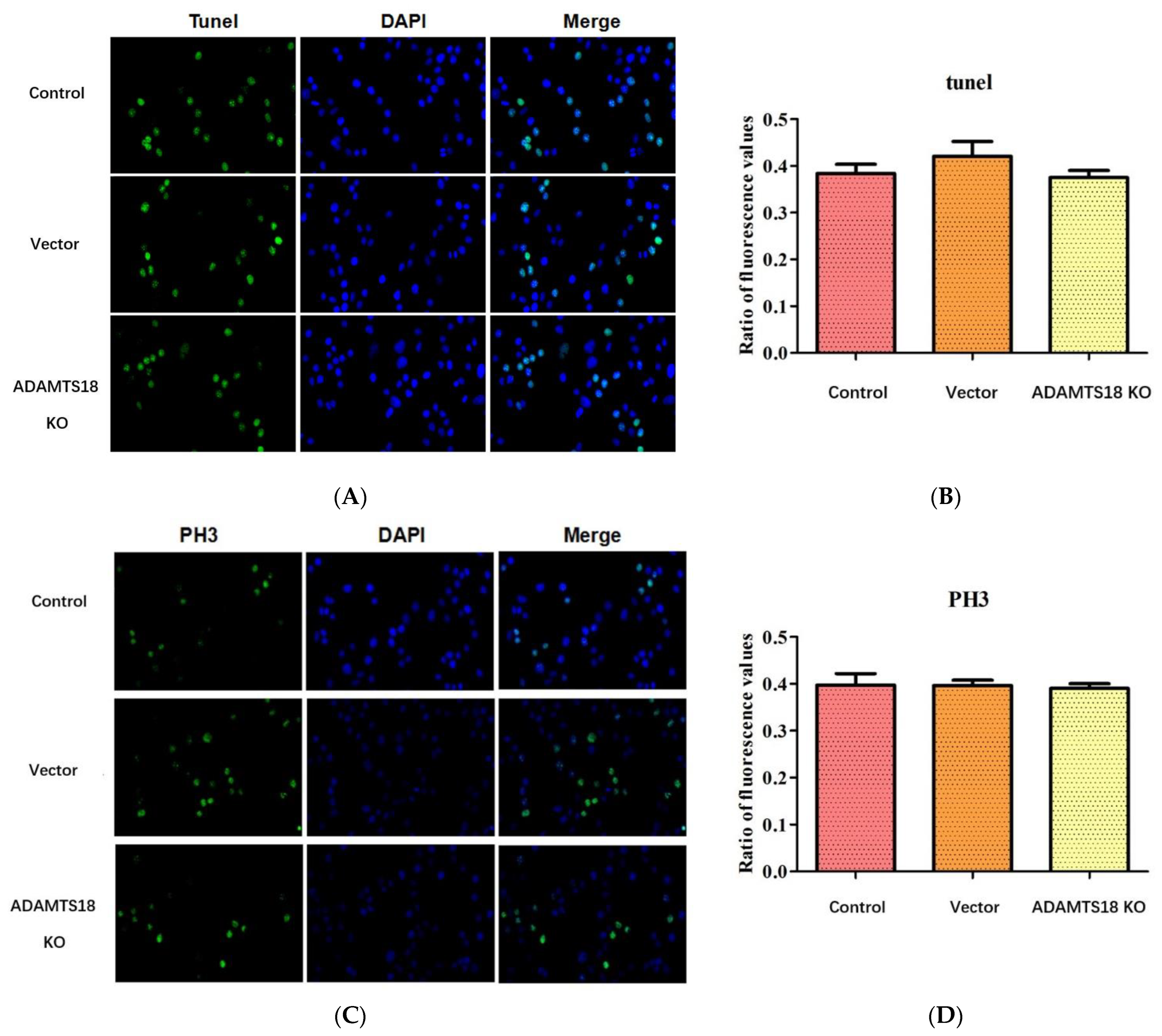 Biomedicines 12 00396 g003