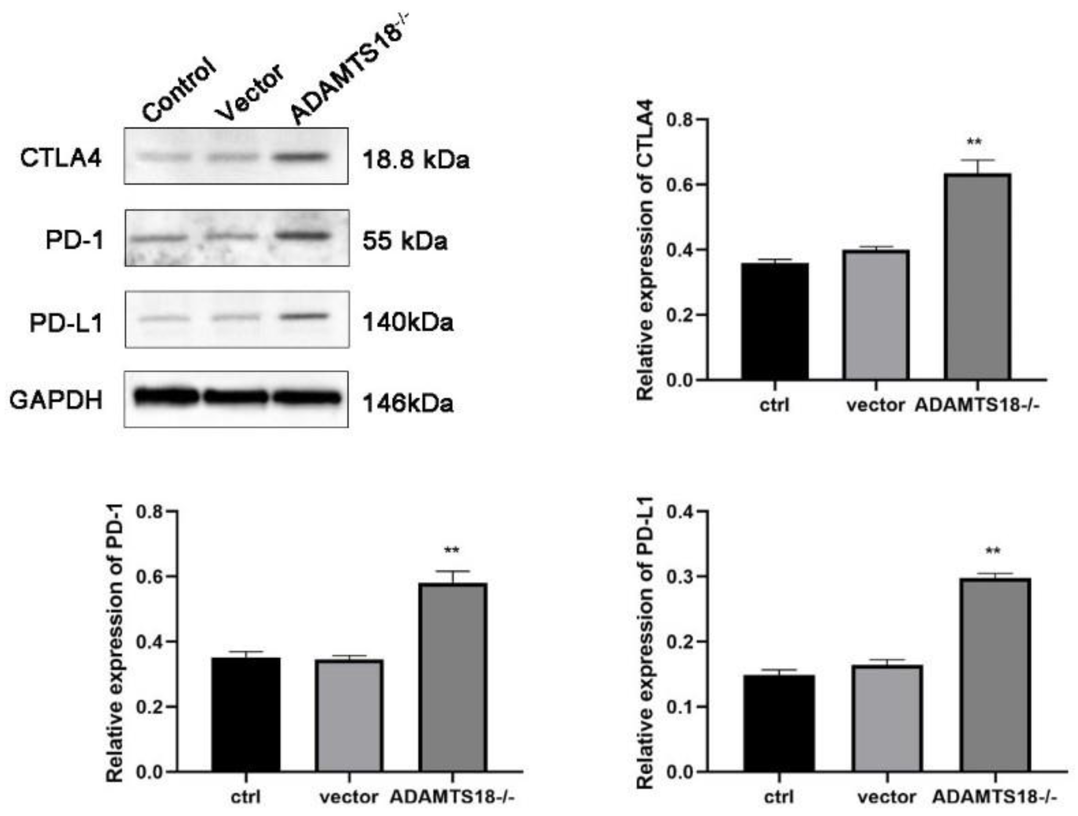 Biomedicines 12 00396 g005