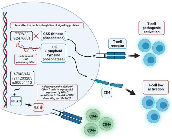 Biomedicines 12 00399 g003