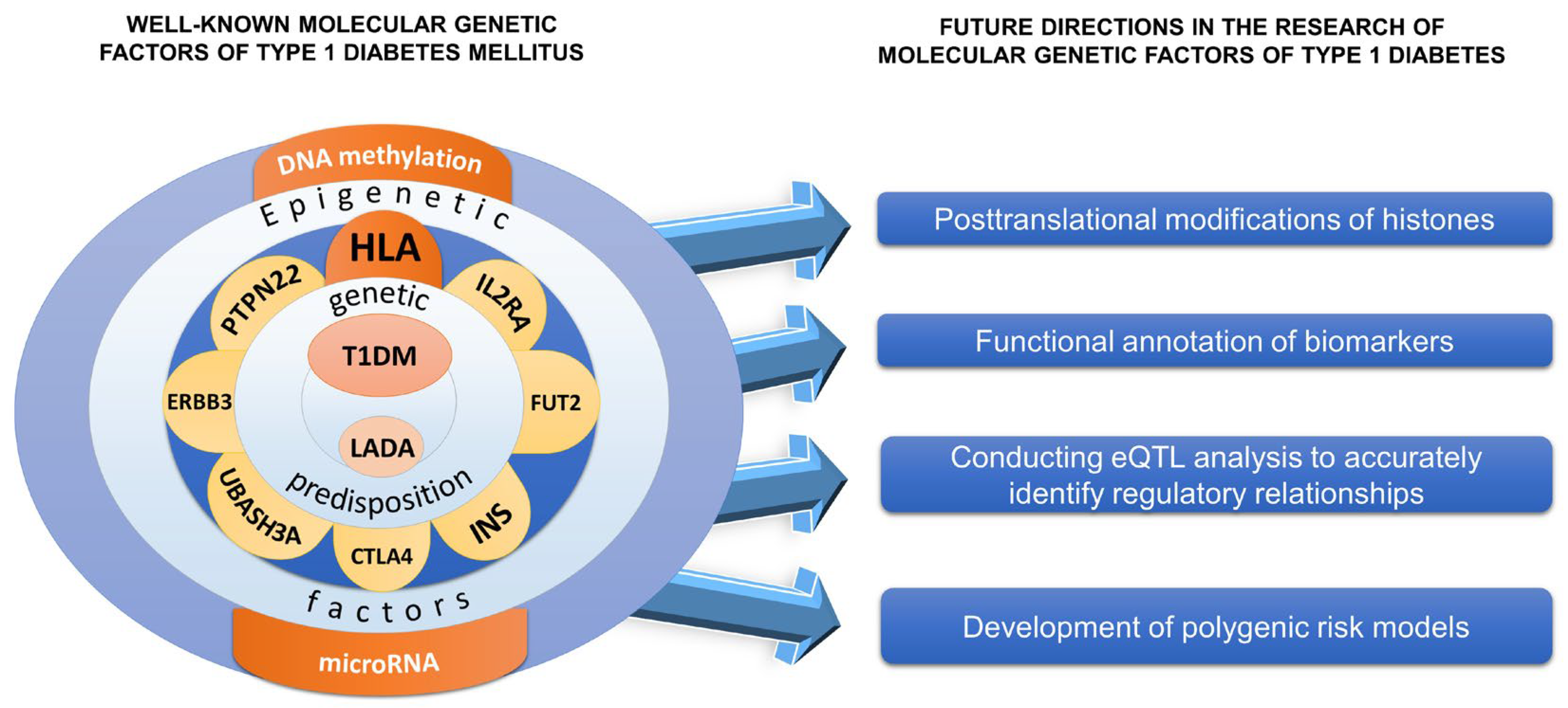 Biomedicines 12 00399 g004