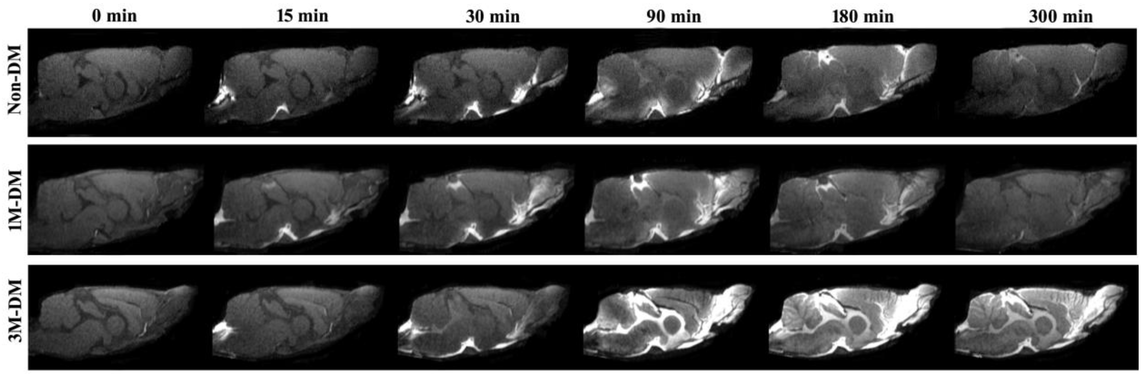 Biomedicines 12 00401 g001