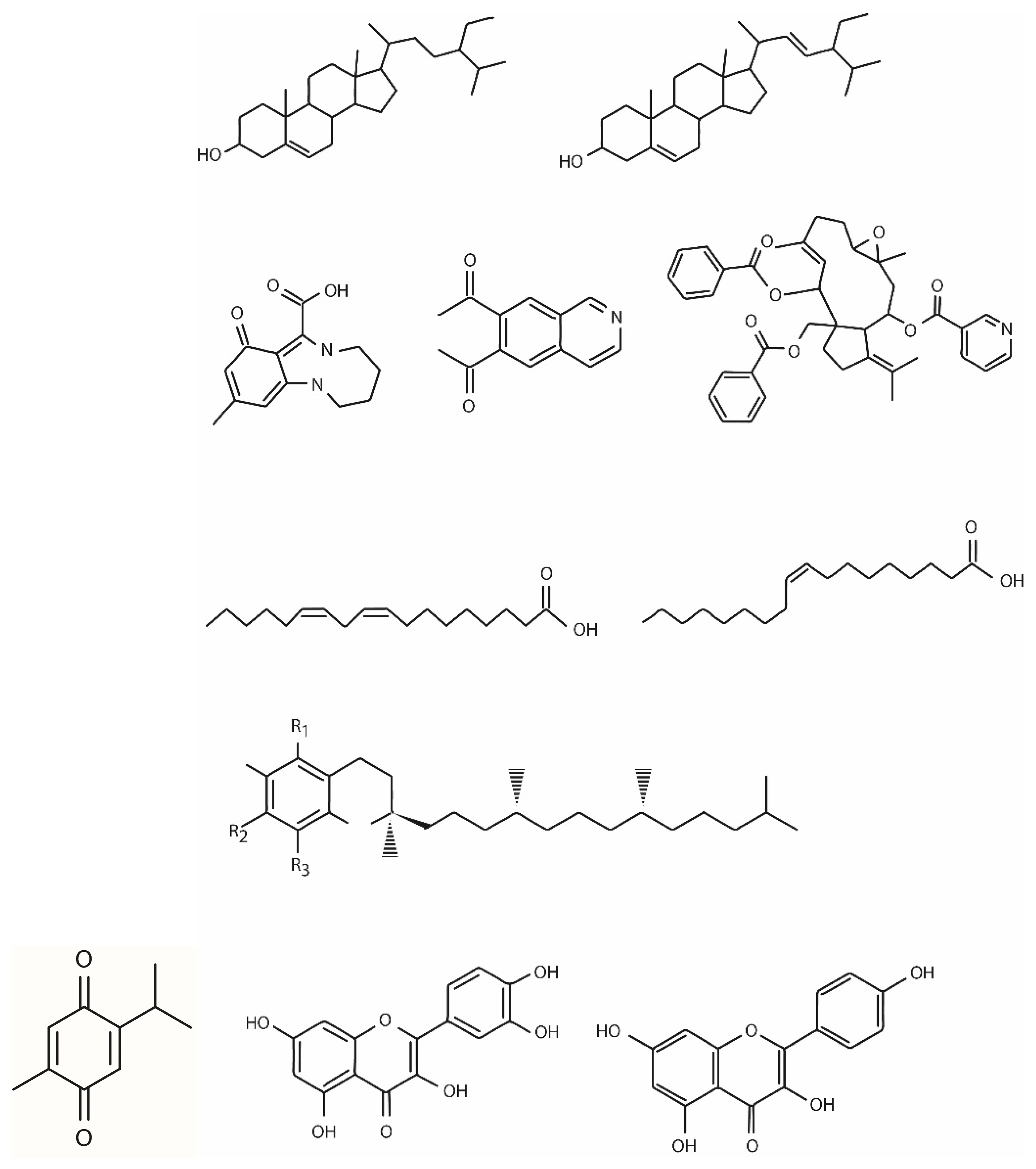 Biomedicines 12 00405 g001