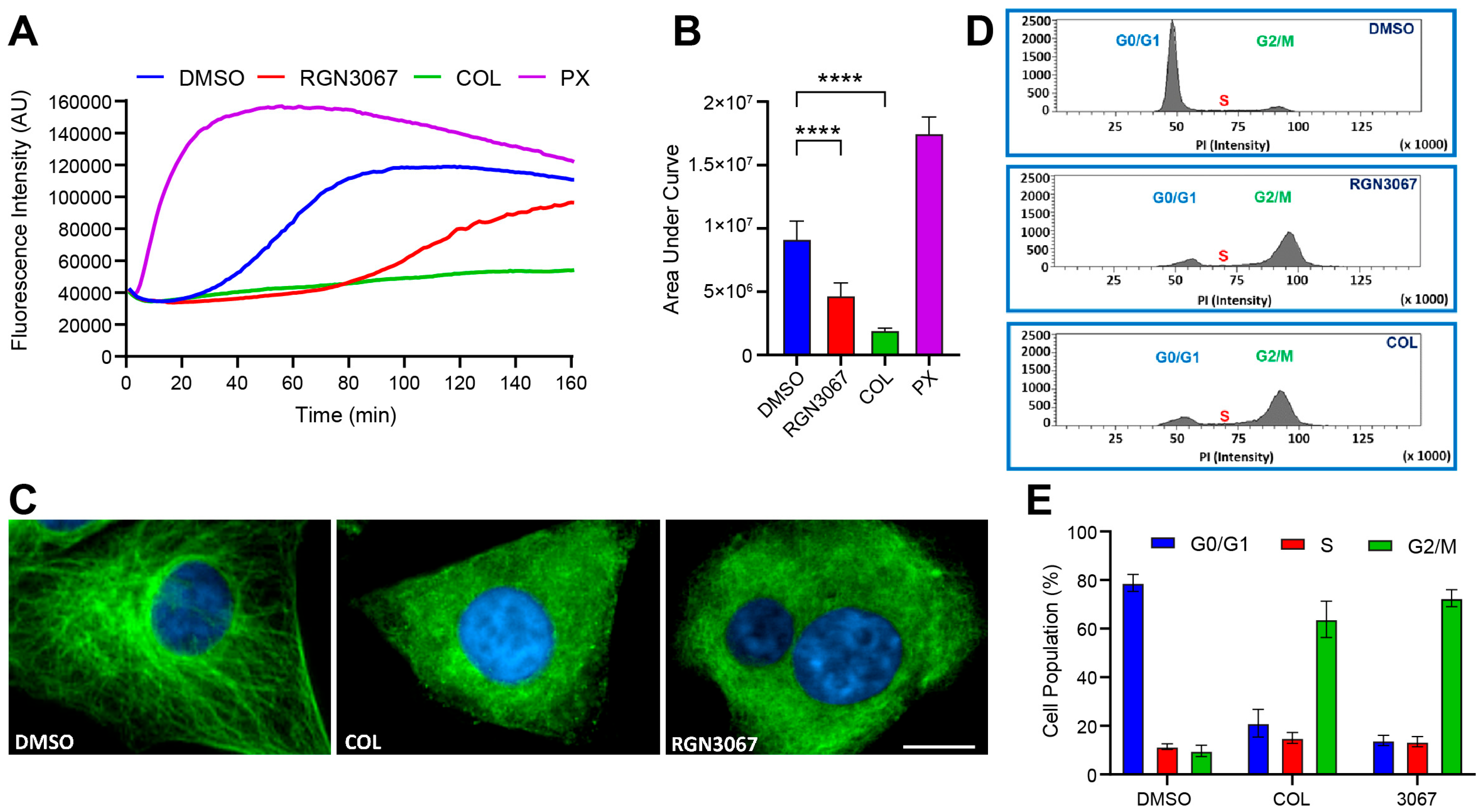 Biomedicines 12 00406 g002