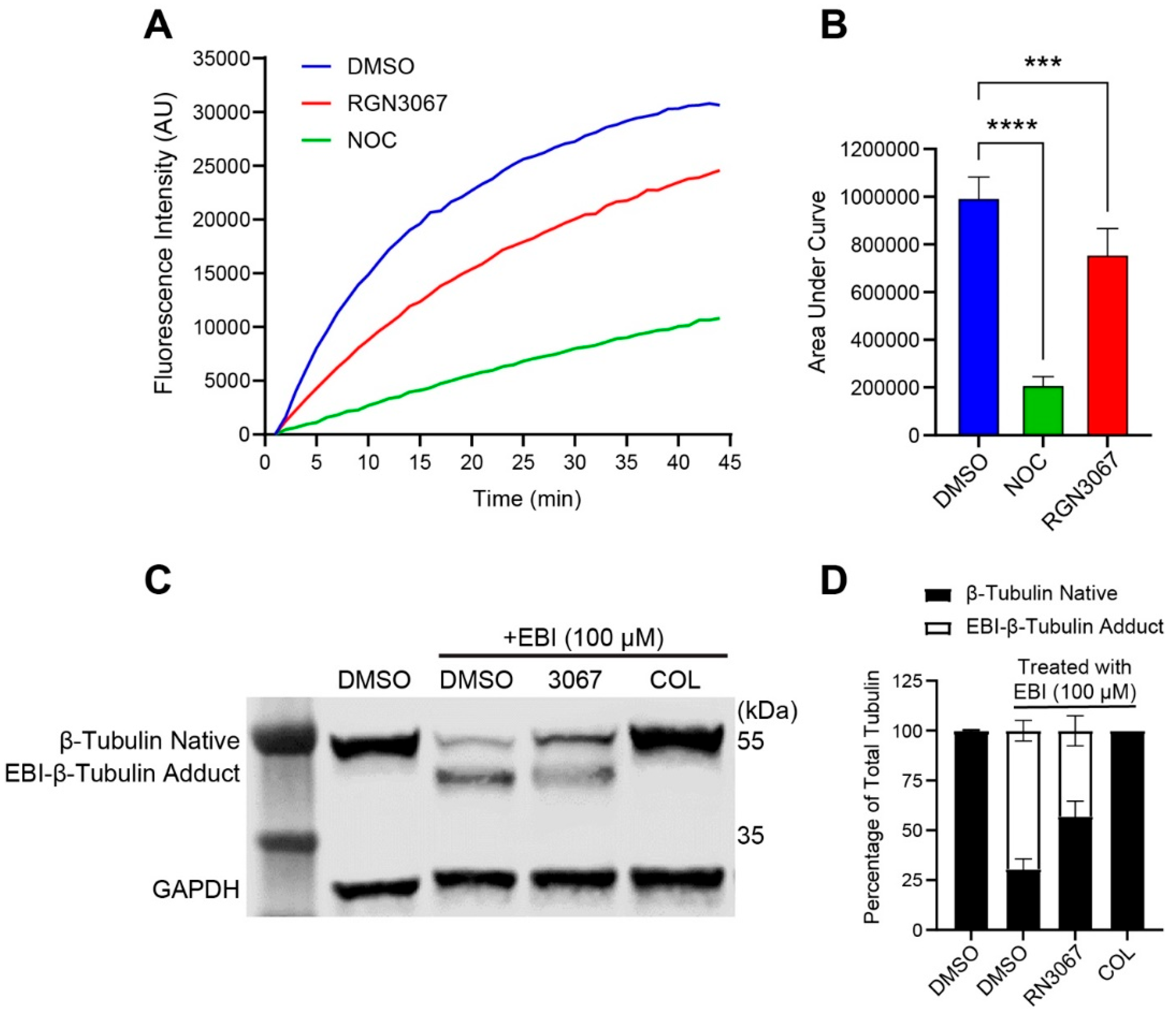 Biomedicines 12 00406 g003