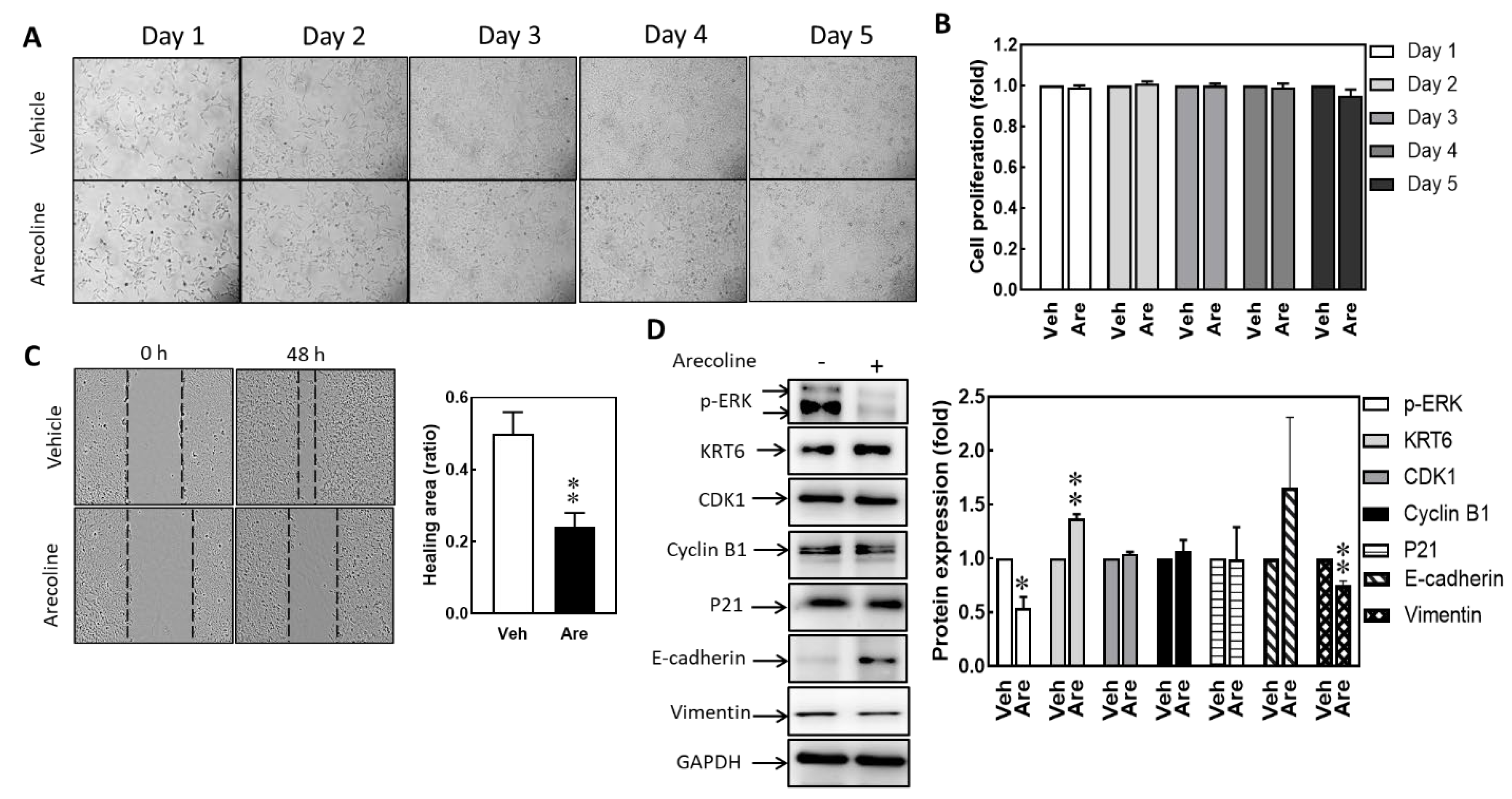 Biomedicines 12 00412 g003 Biomedicines 12 00412 g003