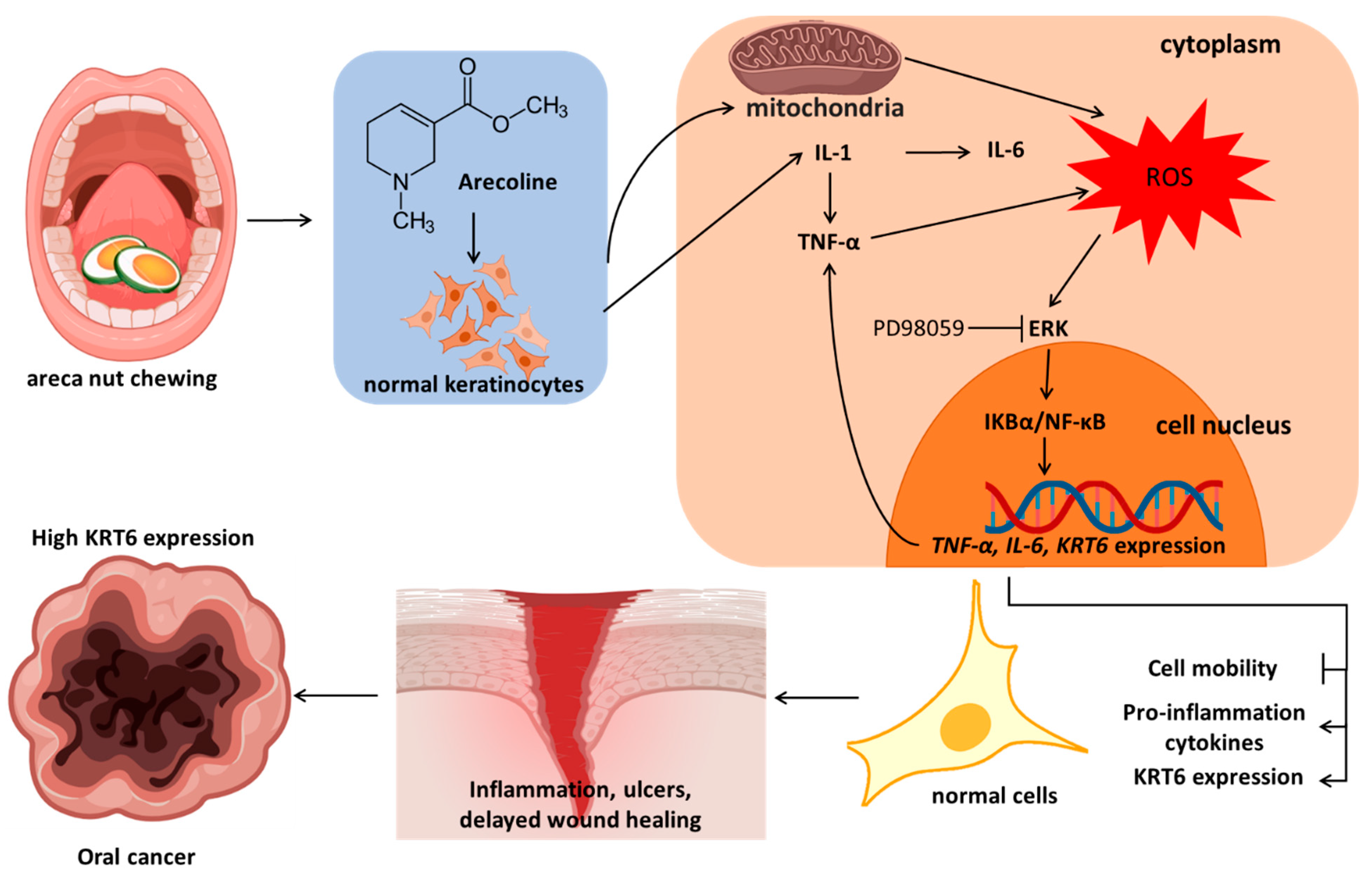 Biomedicines 12 00412 g007 Biomedicines 12 00412 g007