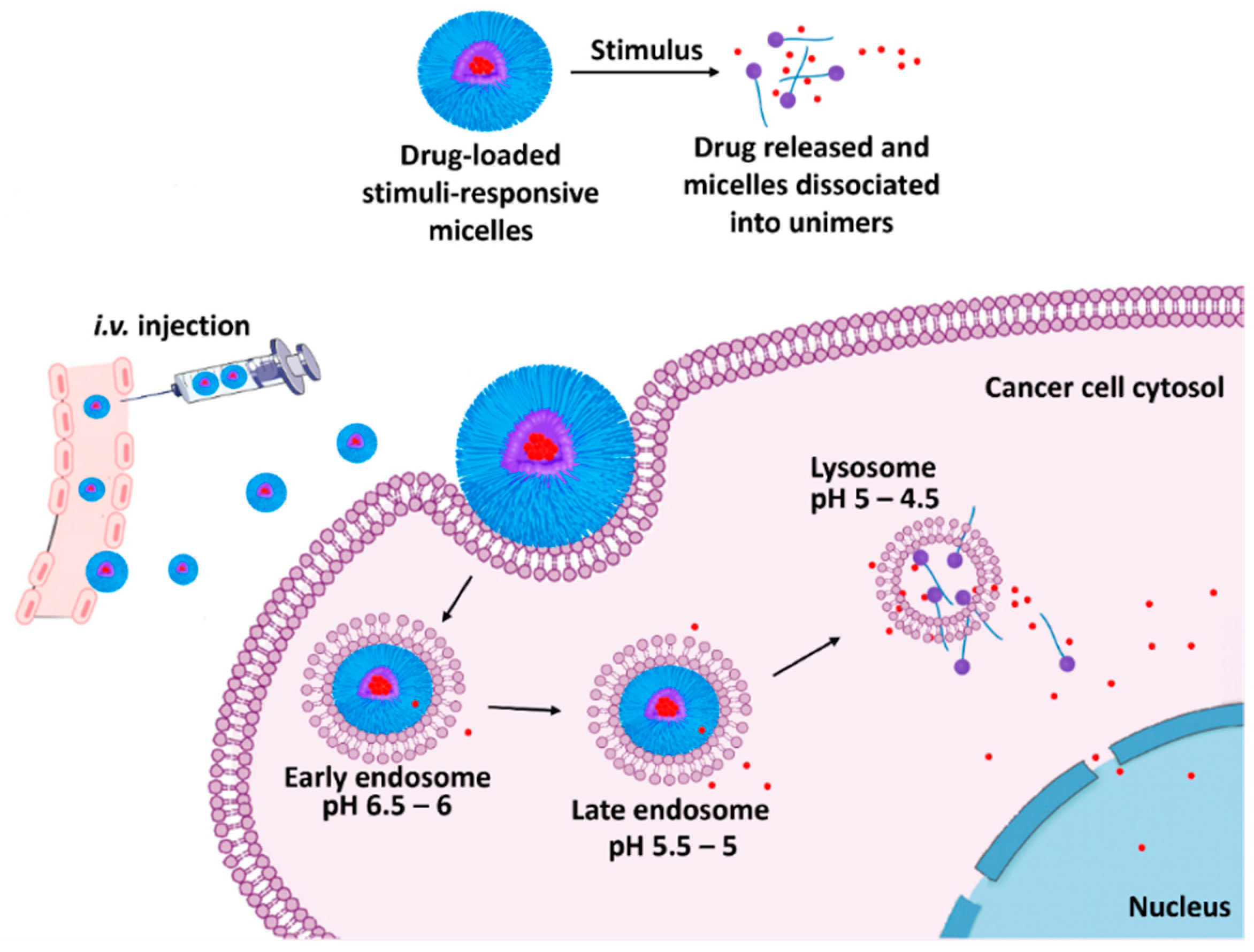Biomedicines 12 00417 g003
