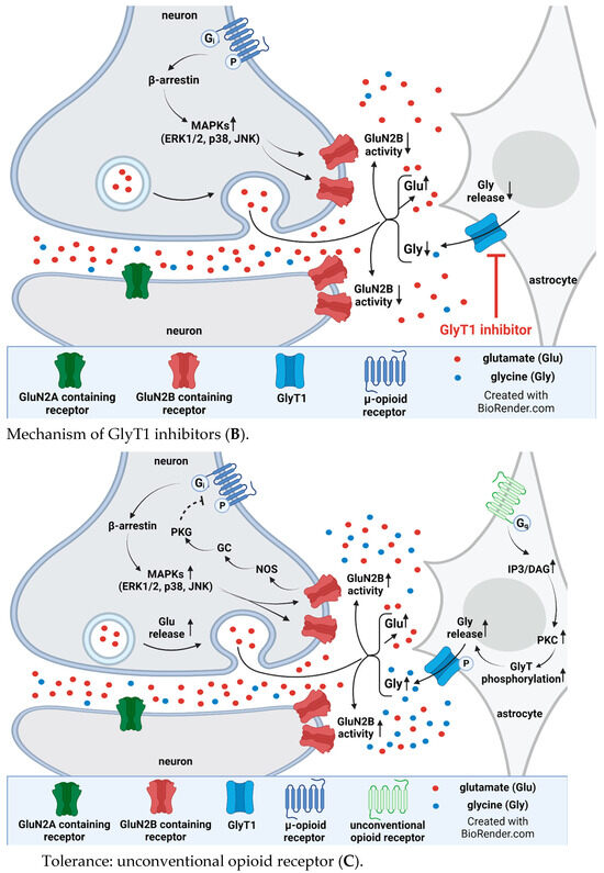 Biomedicines 12 00421 g005b