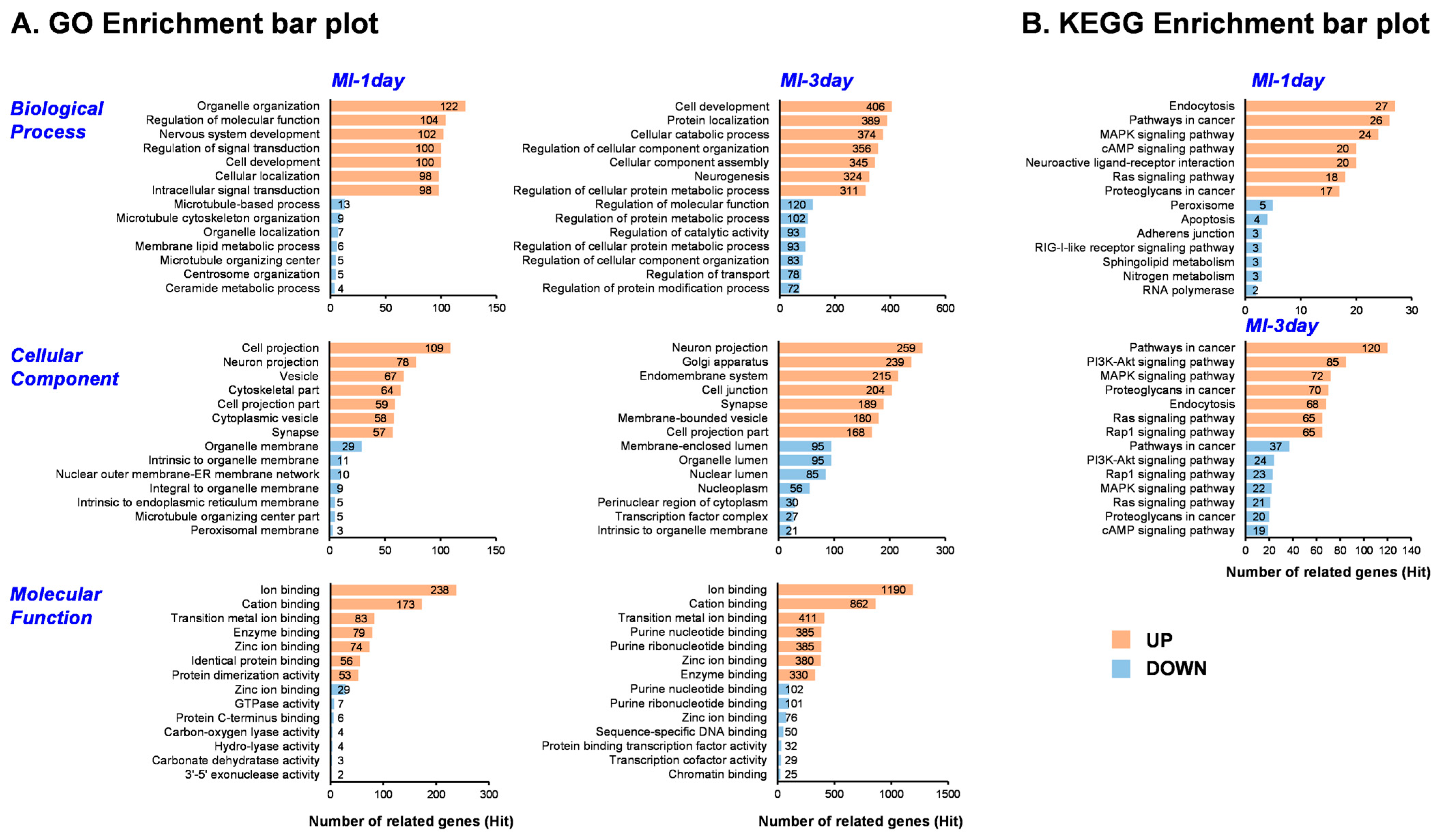 Biomedicines 12 00430 g004