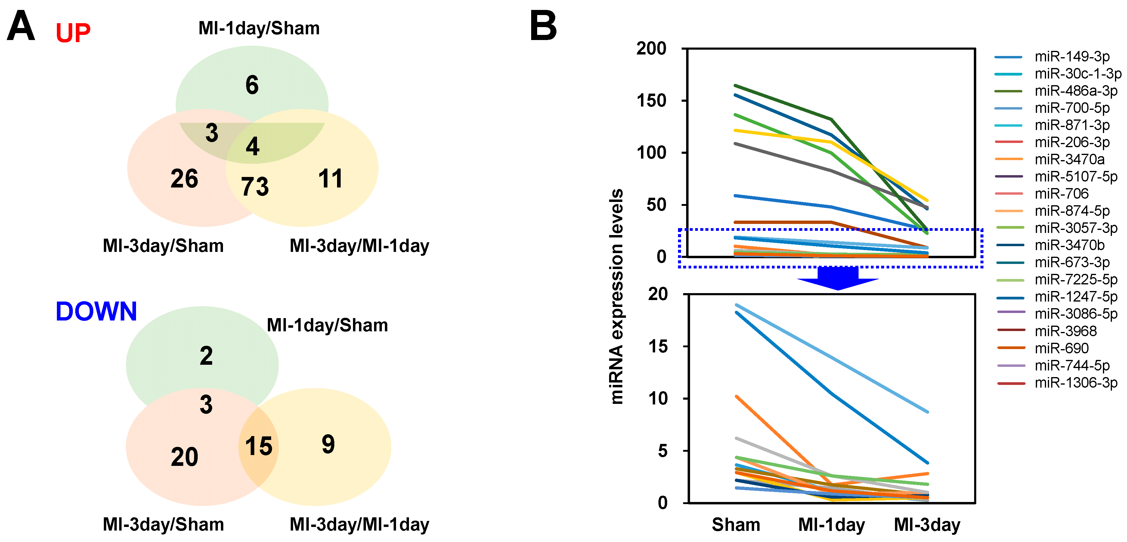 Biomedicines 12 00430 g005