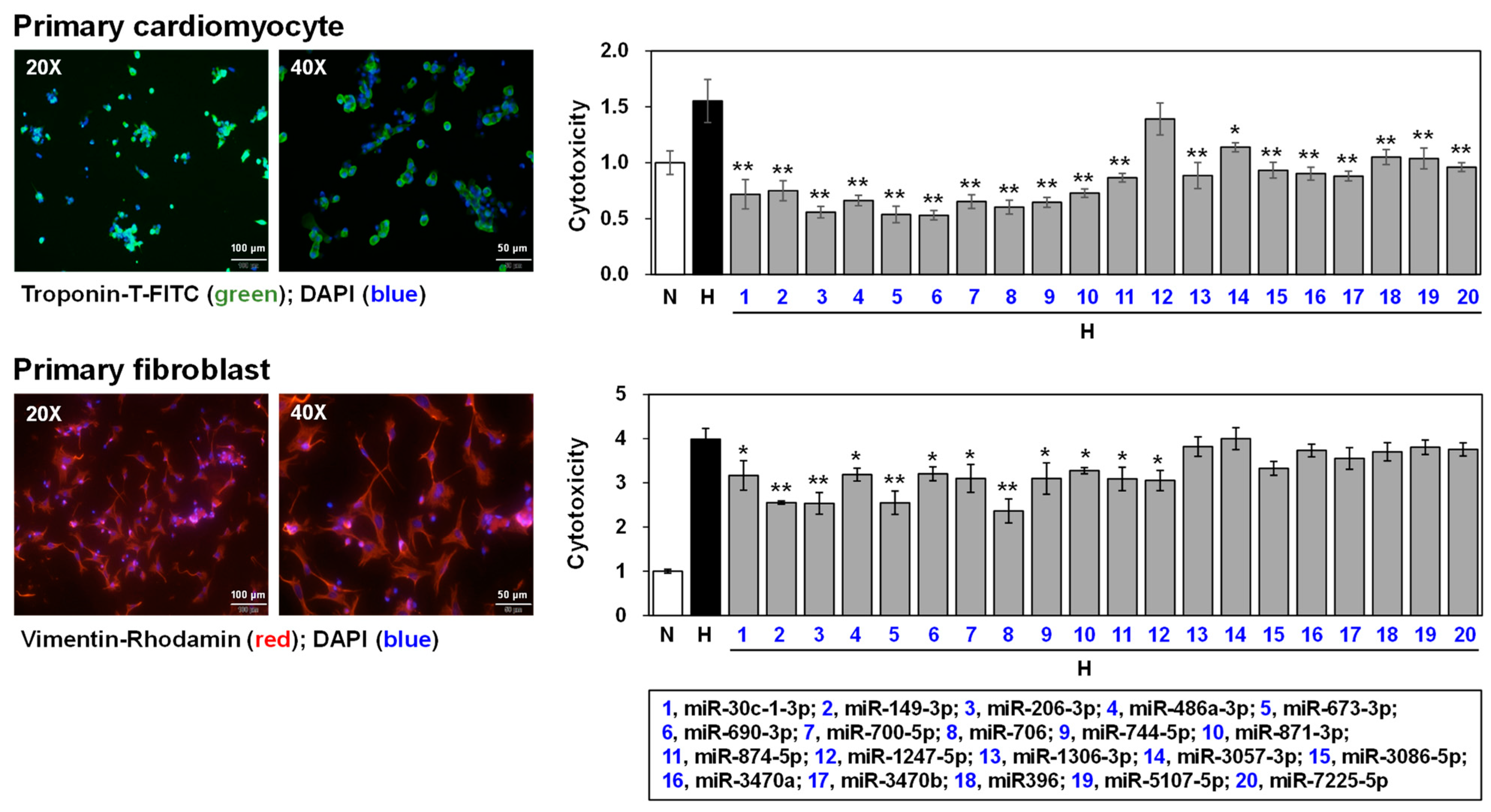 Biomedicines 12 00430 g006
