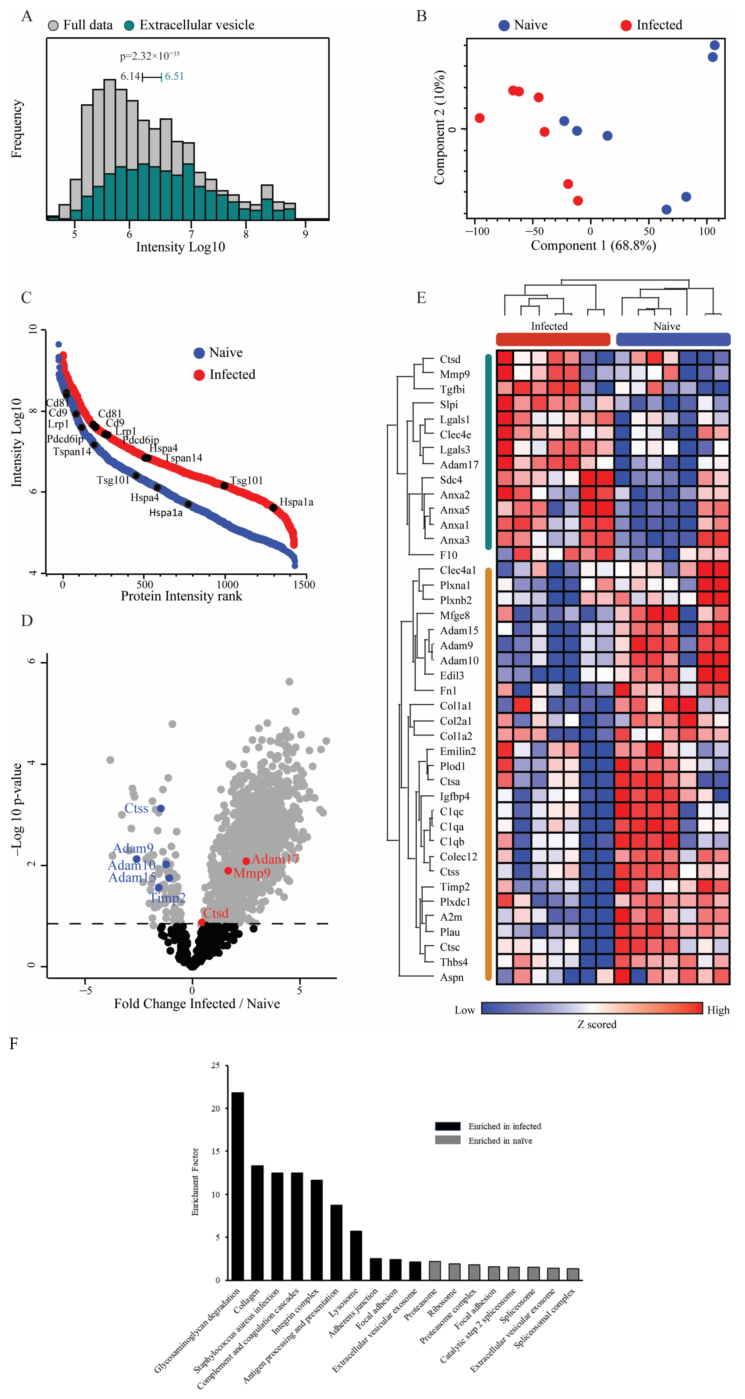 Biomedicines 12 00434 g002