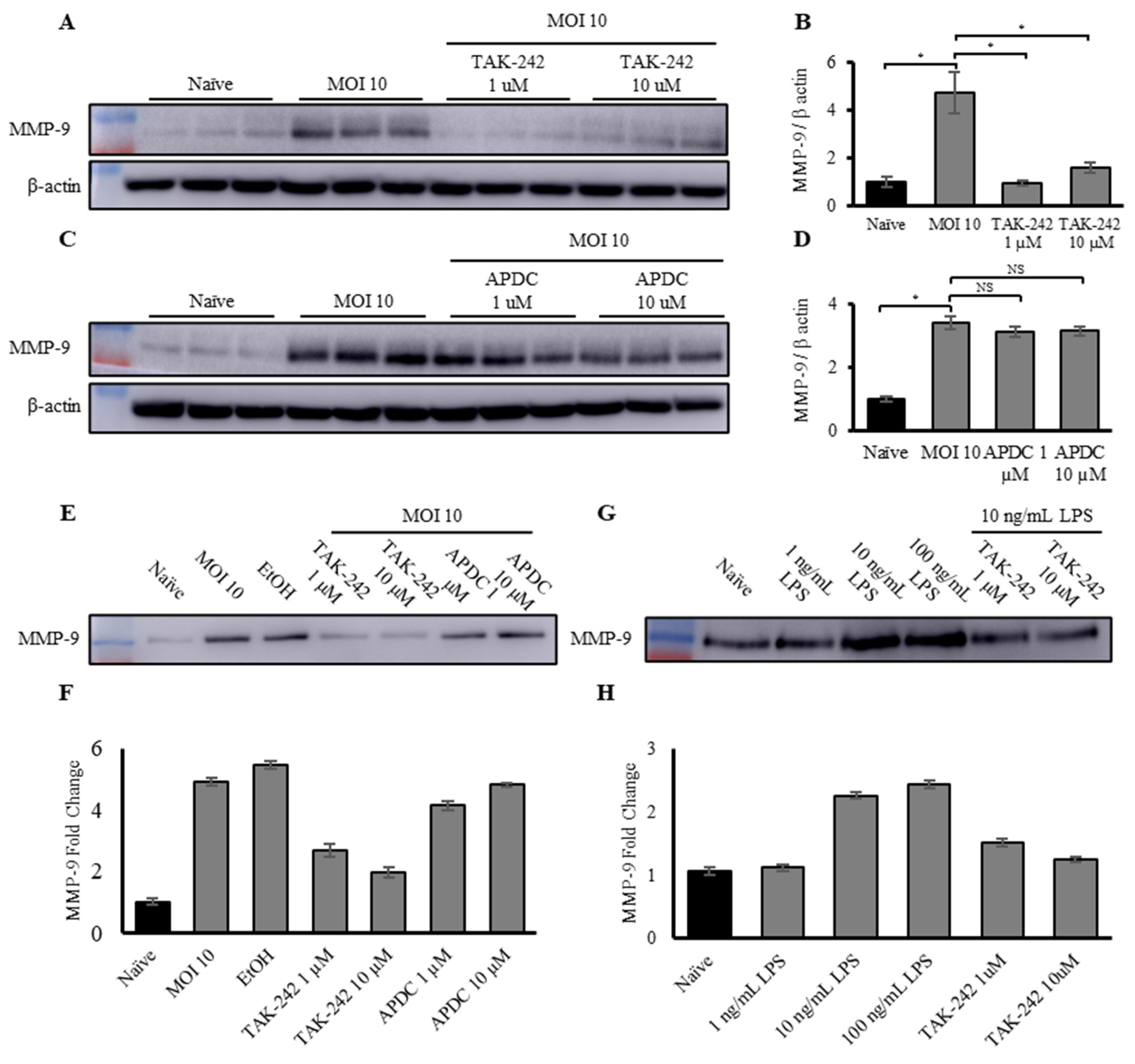 Biomedicines 12 00434 g004