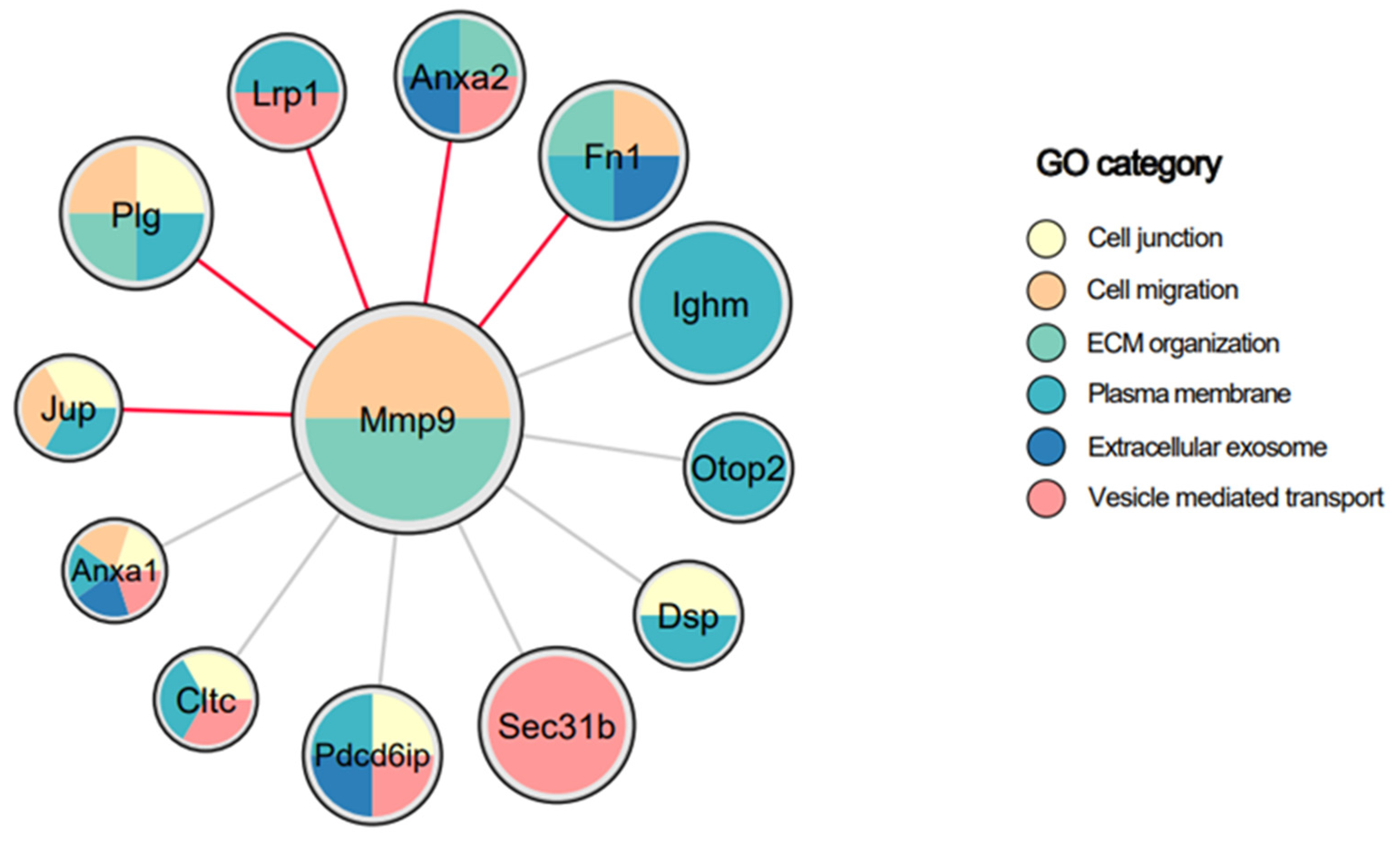 Biomedicines 12 00434 g005