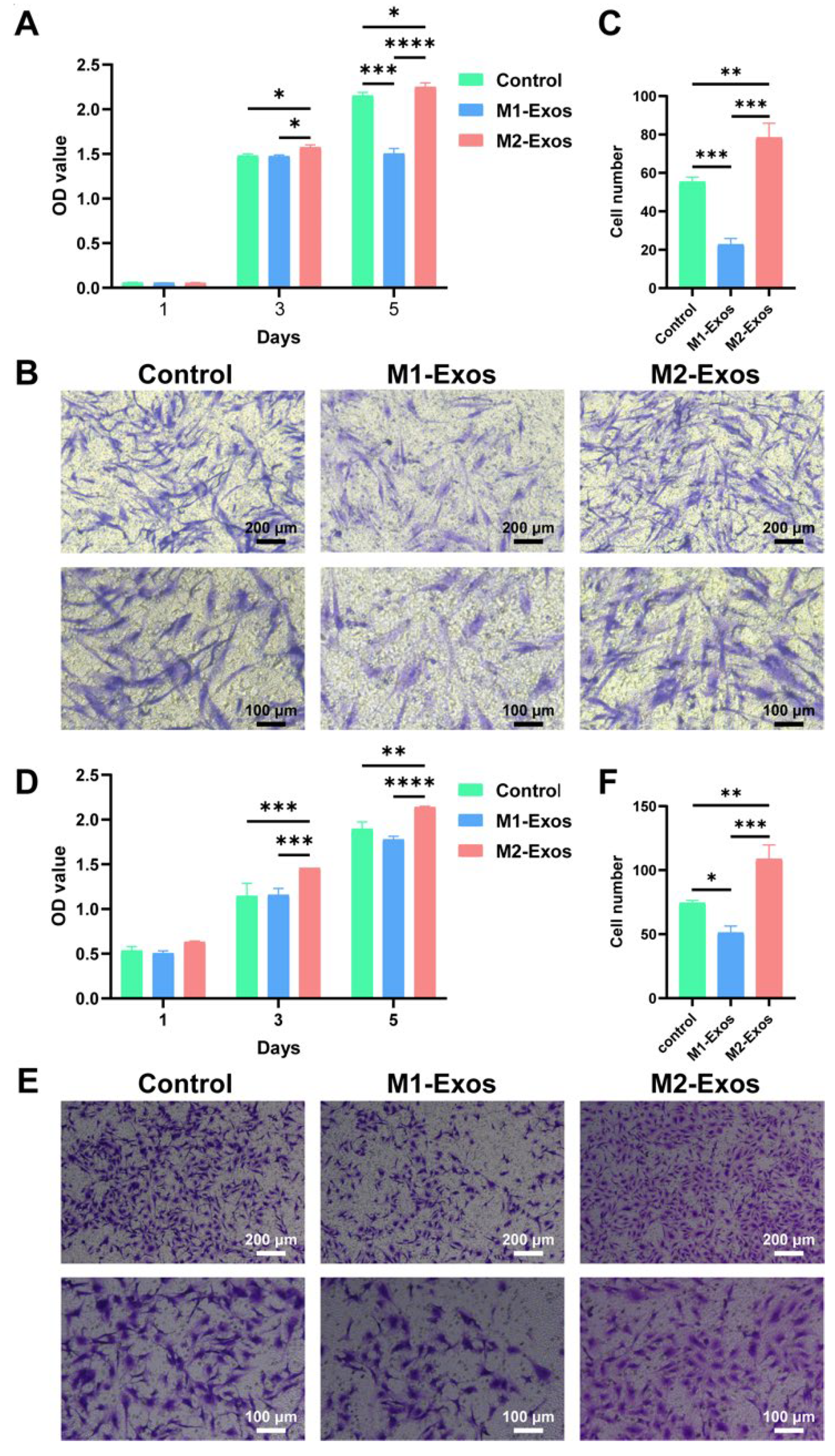 Biomedicines 12 00441 g004