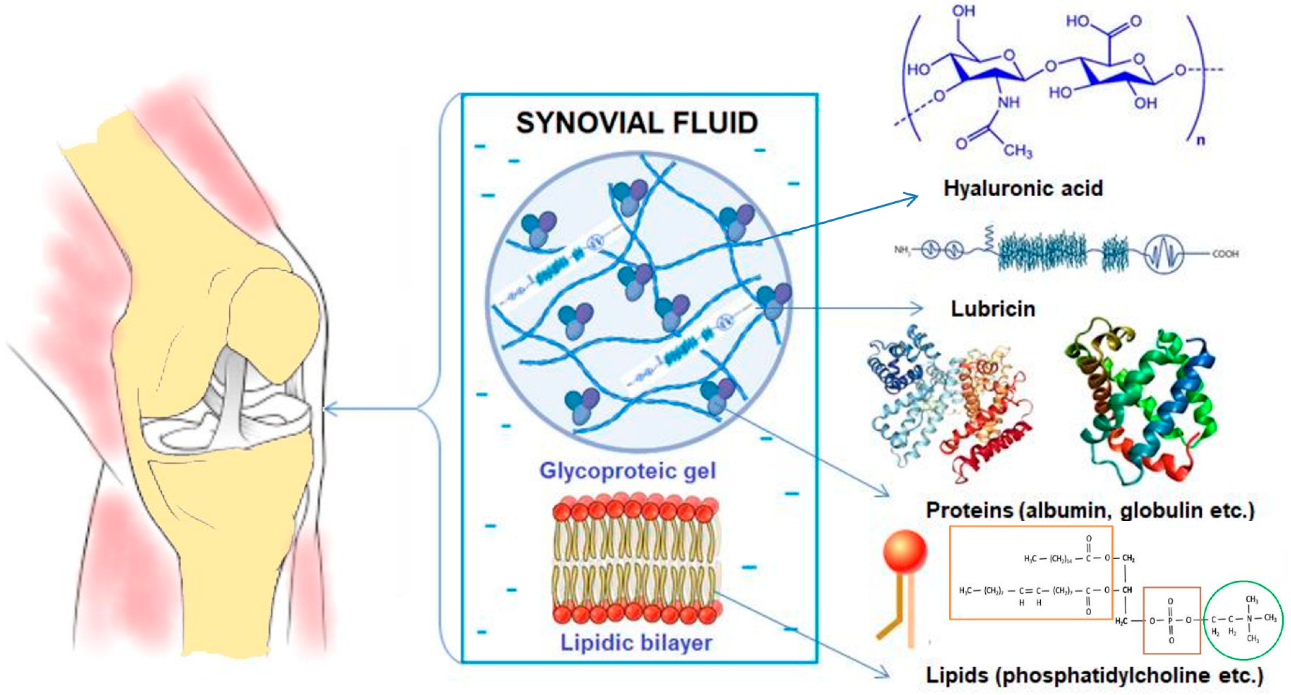 Biomedicines 12 00449 g001 Biomedicines 12 00449 g001