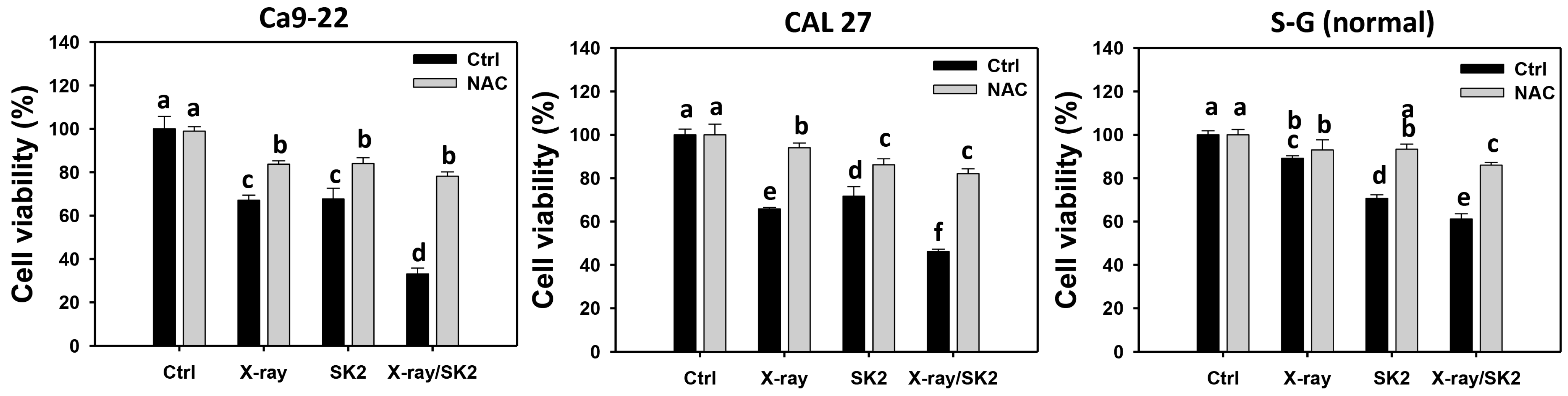 Biomedicines 12 00458 g001