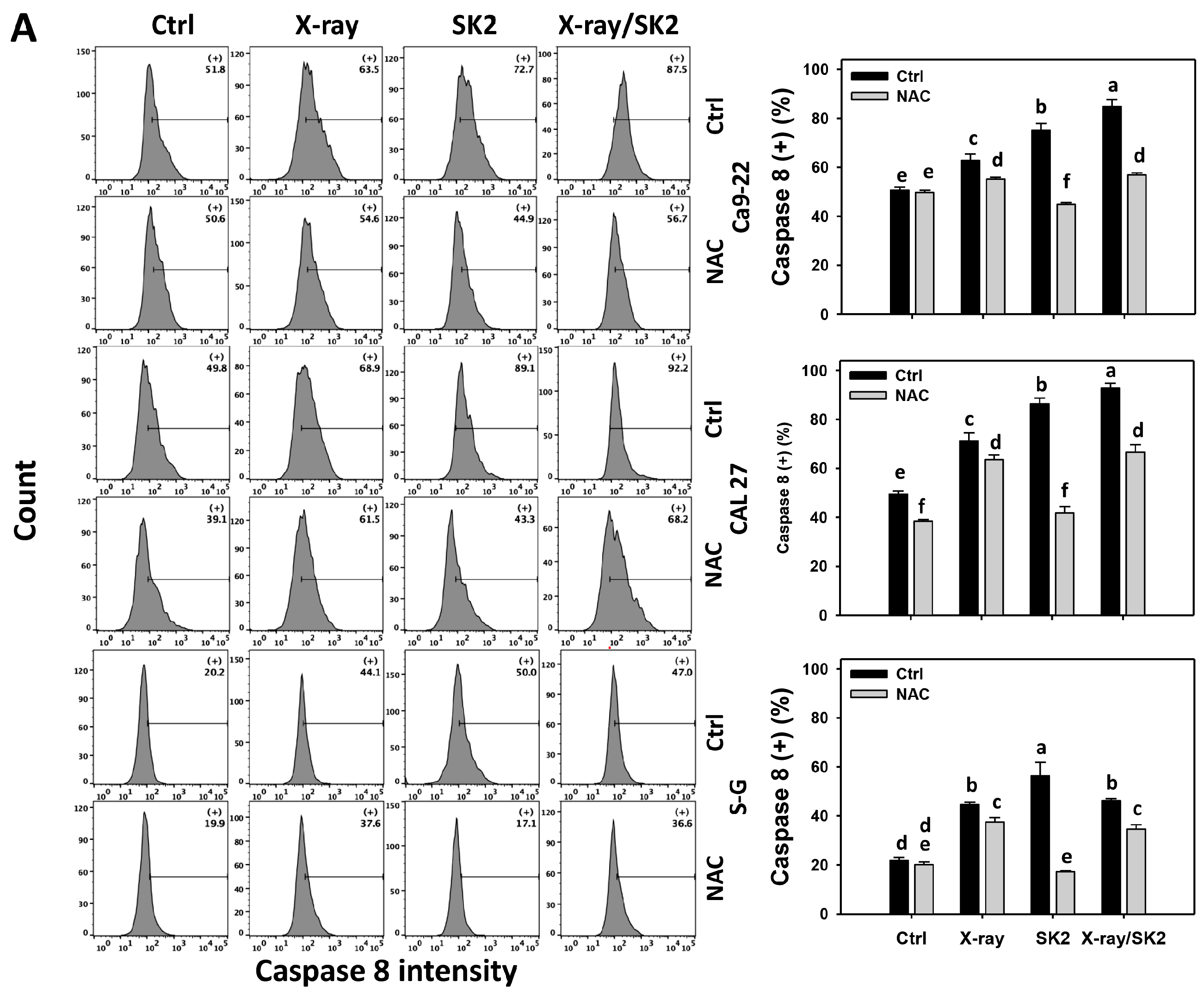 Biomedicines 12 00458 g004a