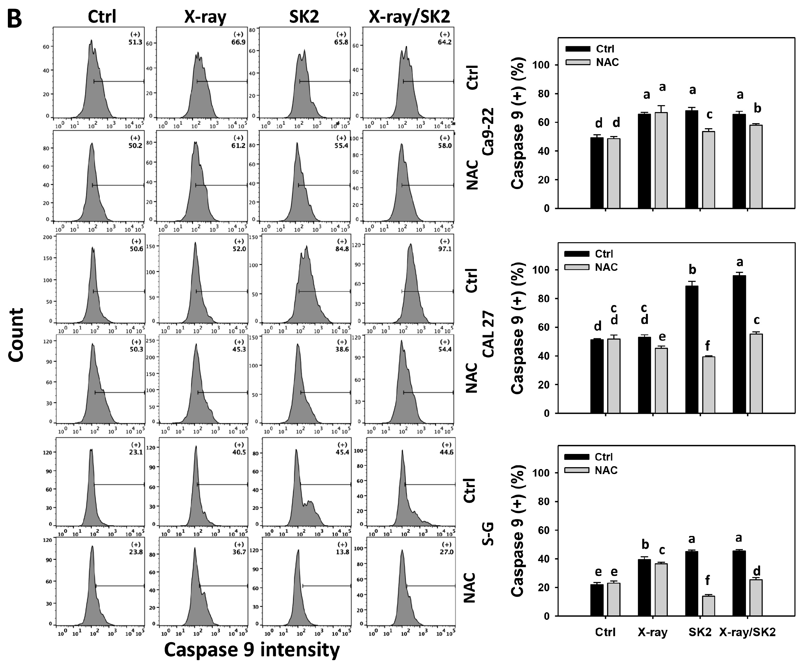 Biomedicines 12 00458 g004b