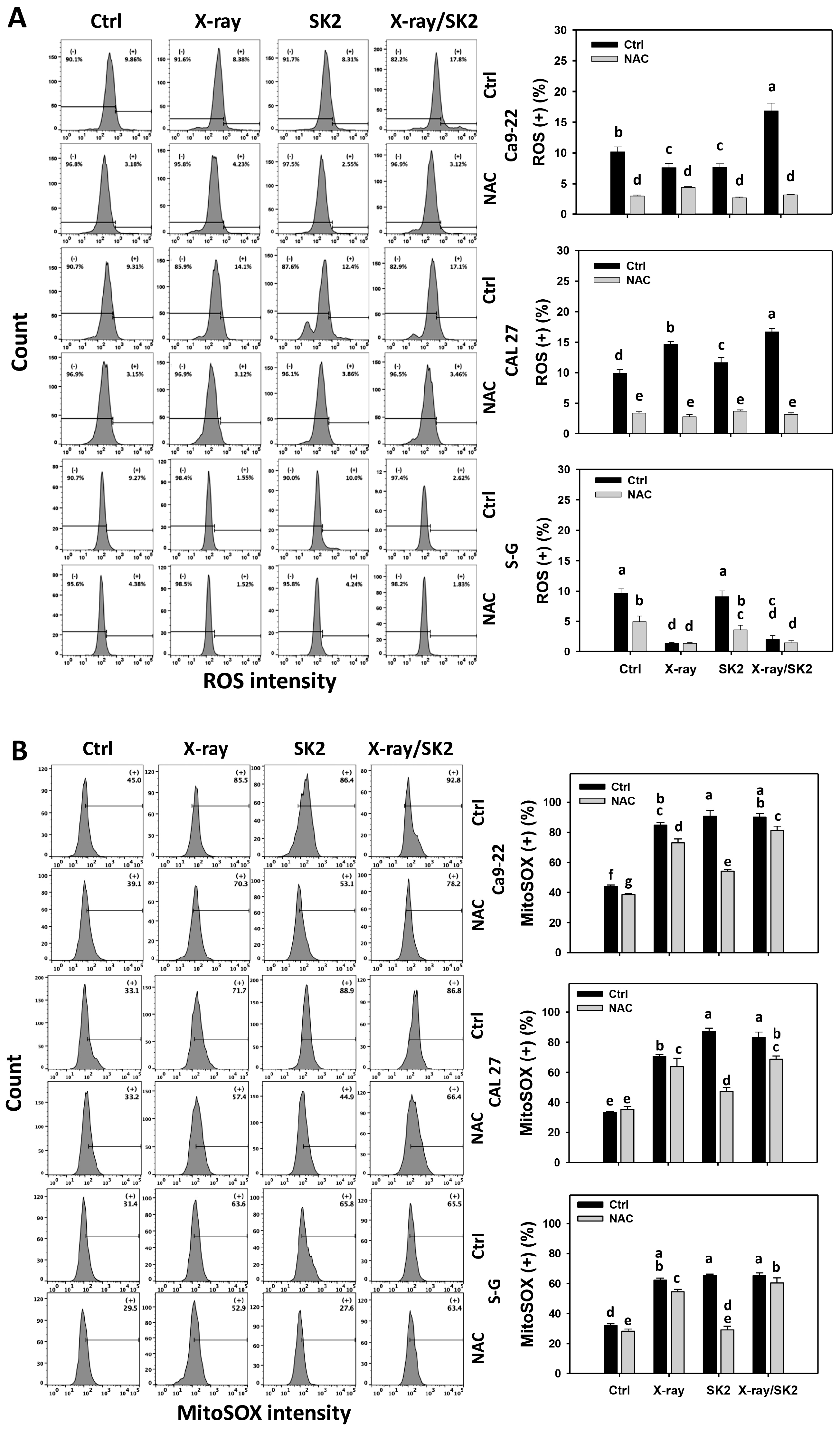 Biomedicines 12 00458 g005