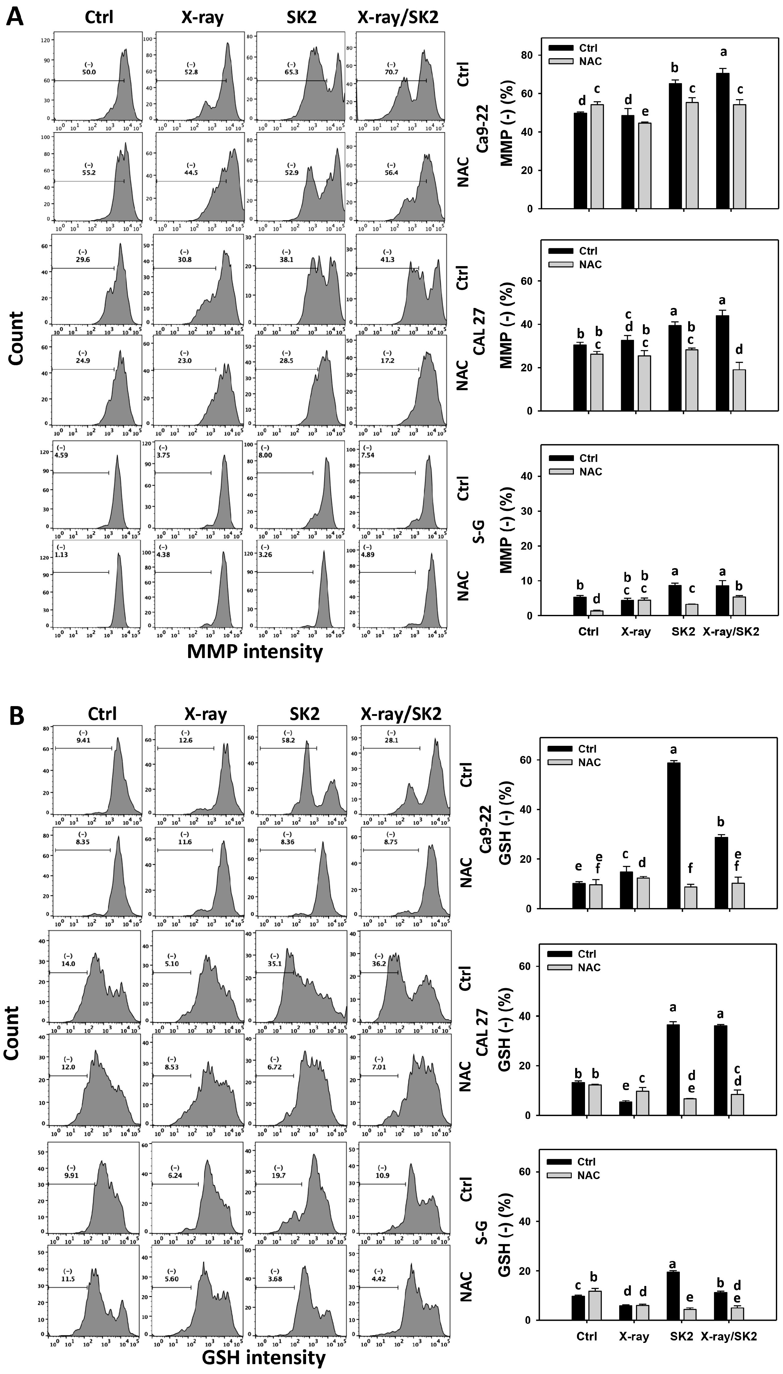Biomedicines 12 00458 g006