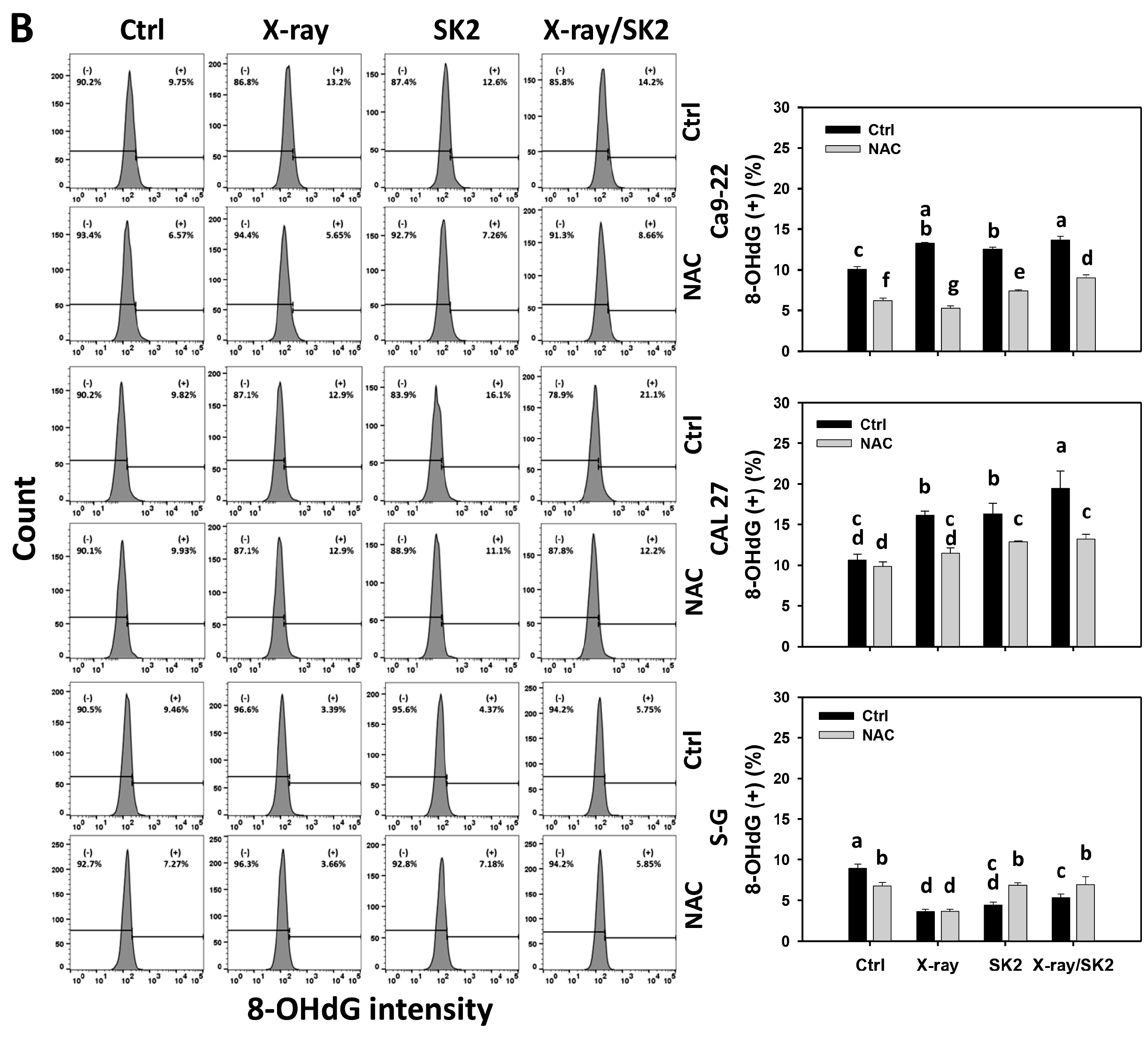 Biomedicines 12 00458 g007b