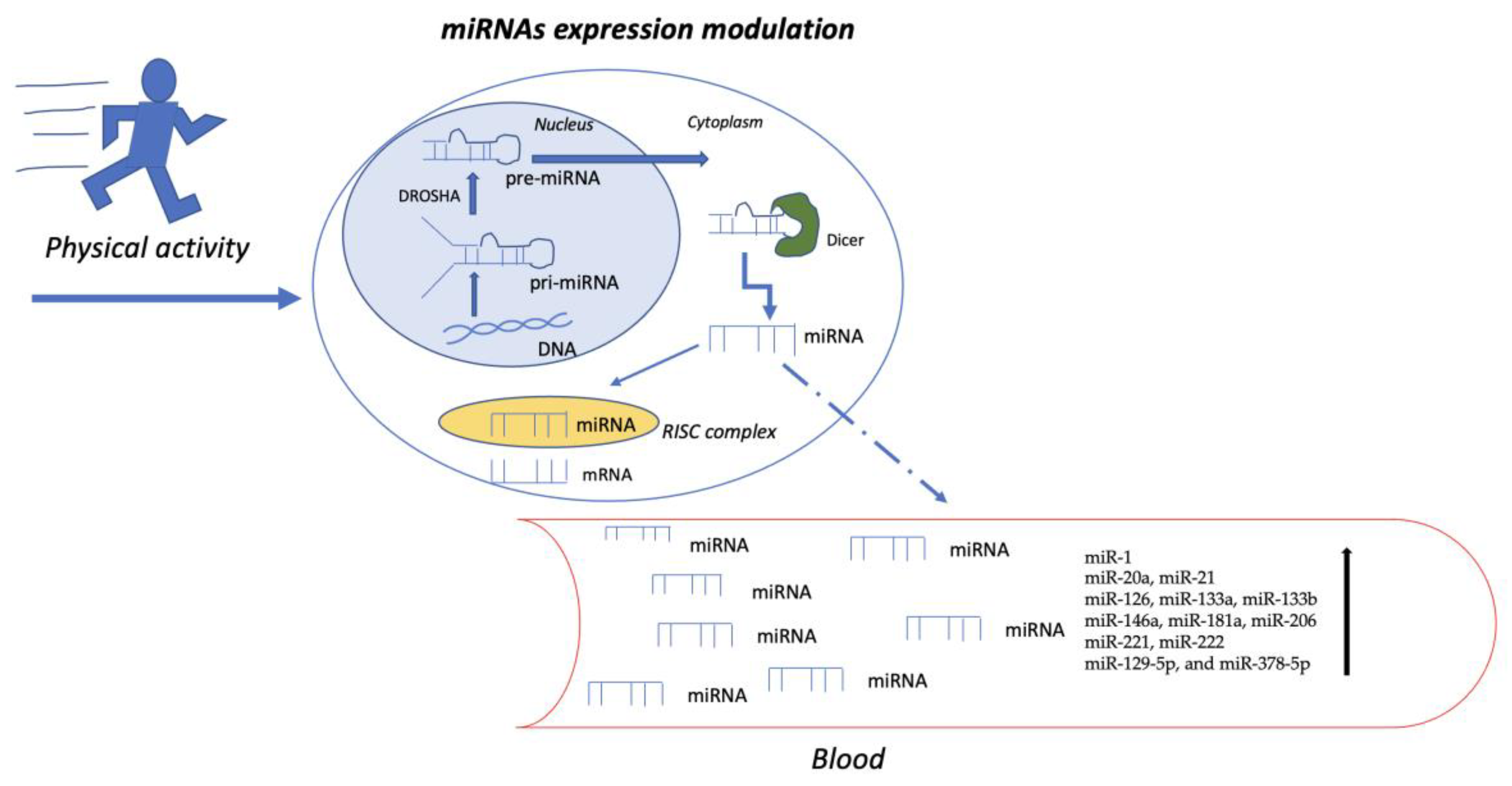 Biomedicines 12 00468 g001