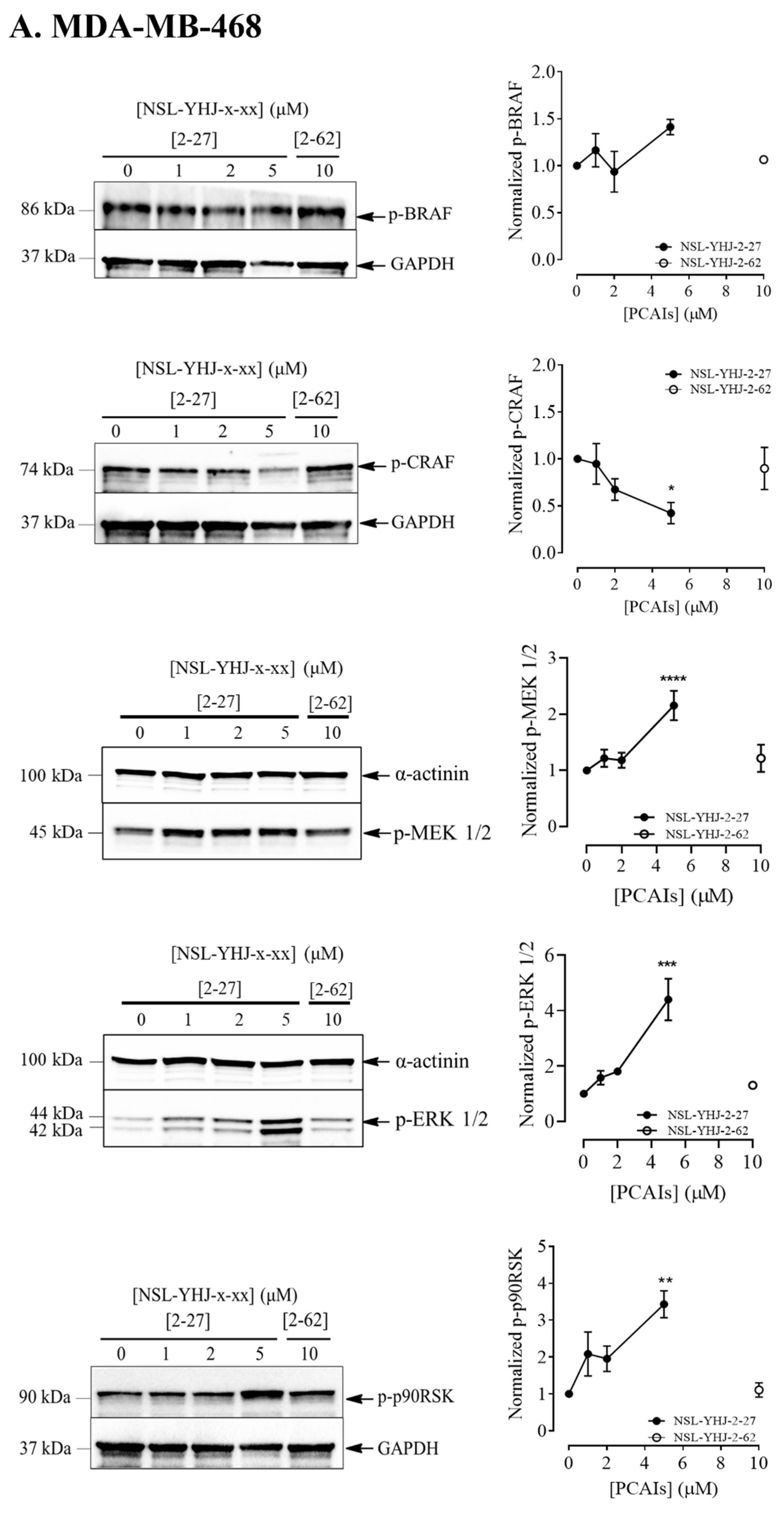 Biomedicines 12 00470 g004a