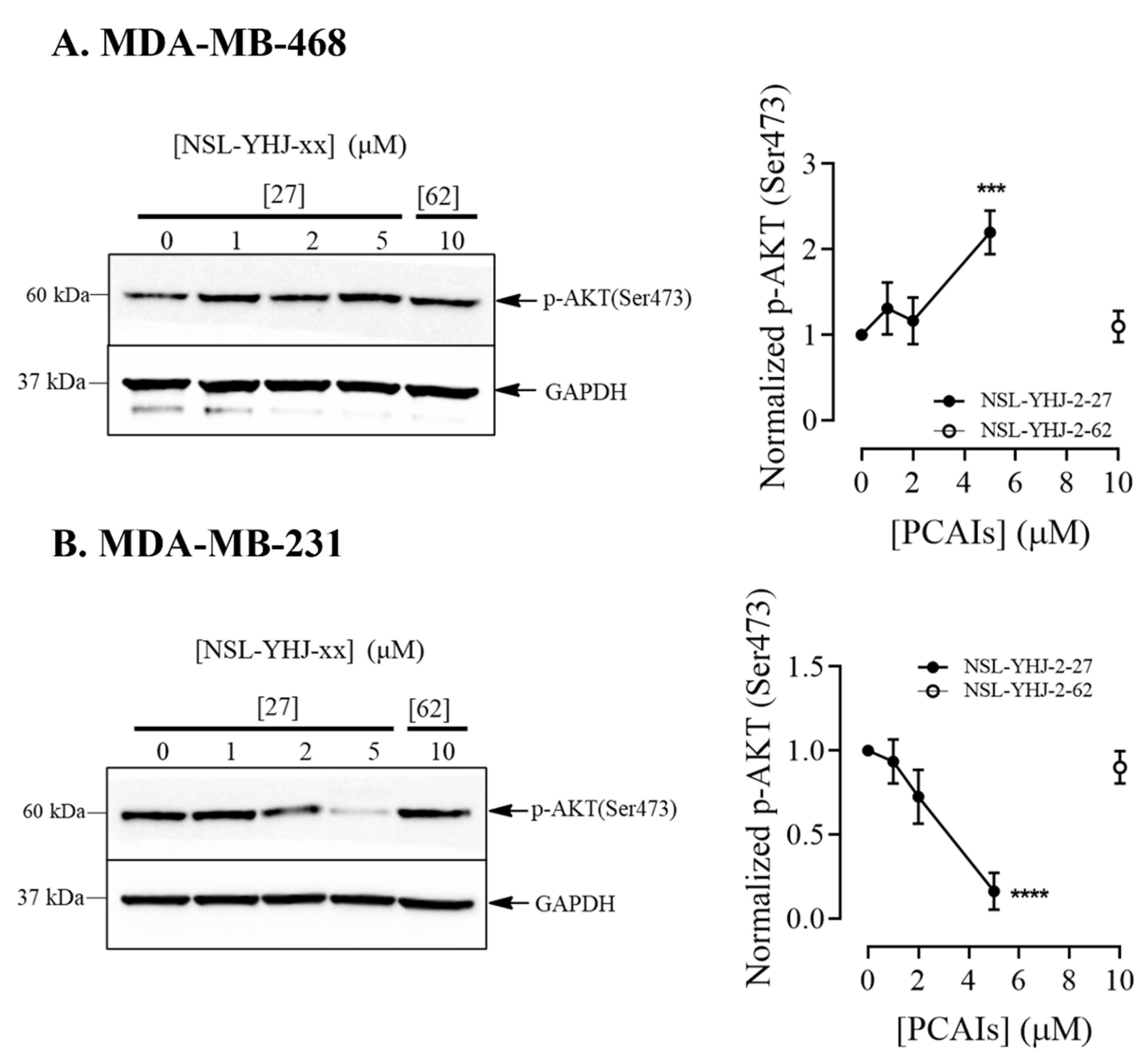 Biomedicines 12 00470 g005