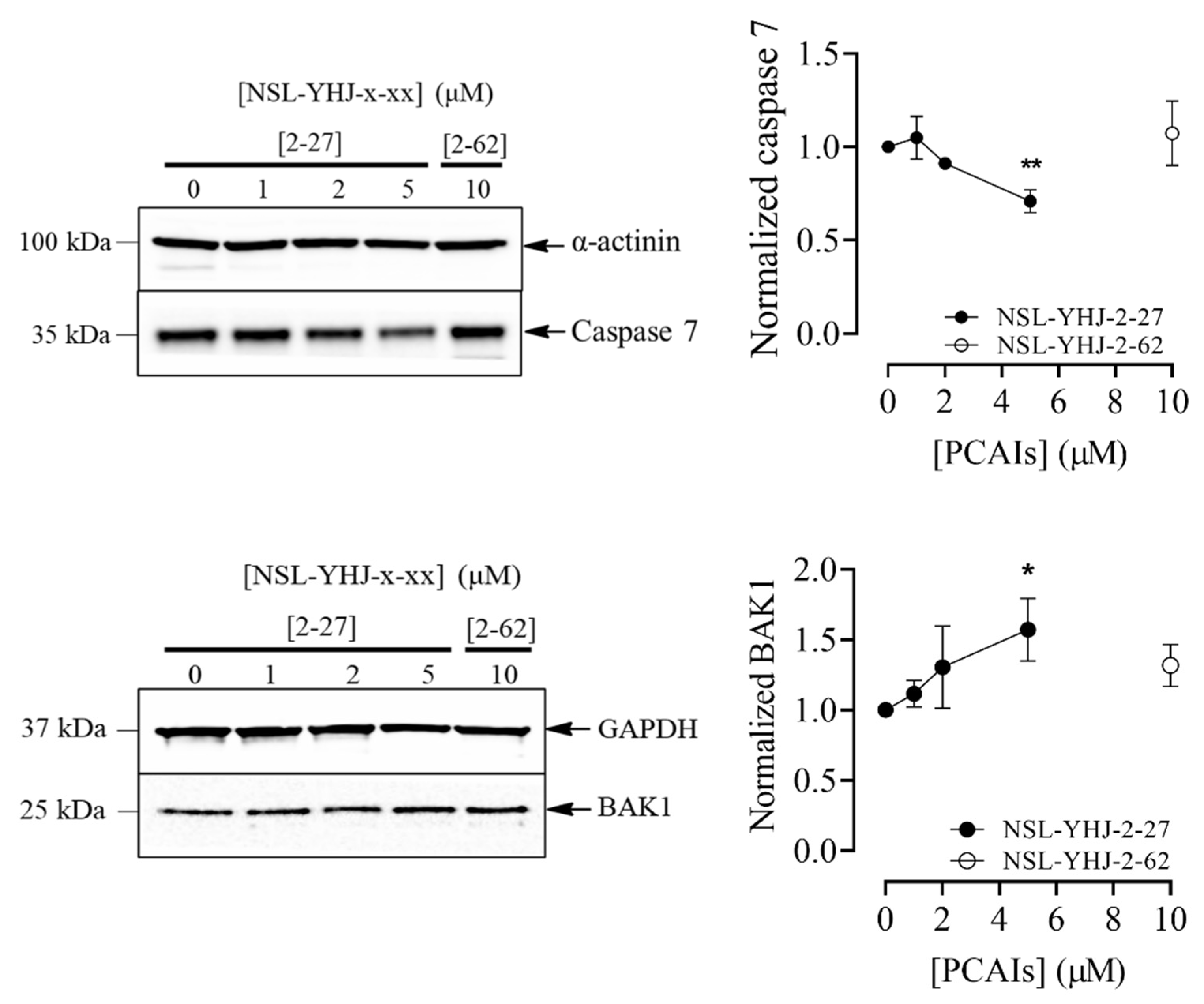 Biomedicines 12 00470 g006b
