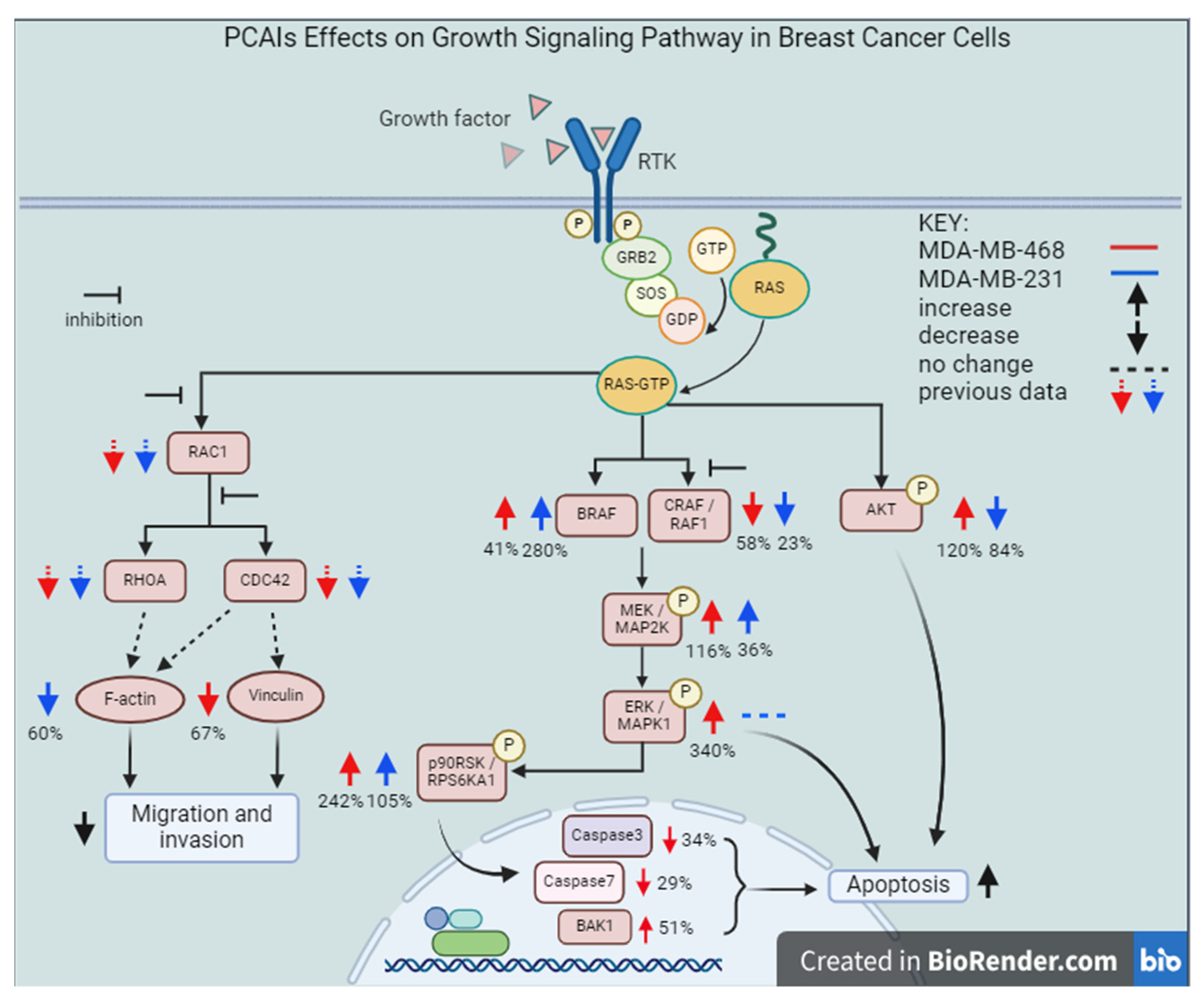 Biomedicines 12 00470 g013