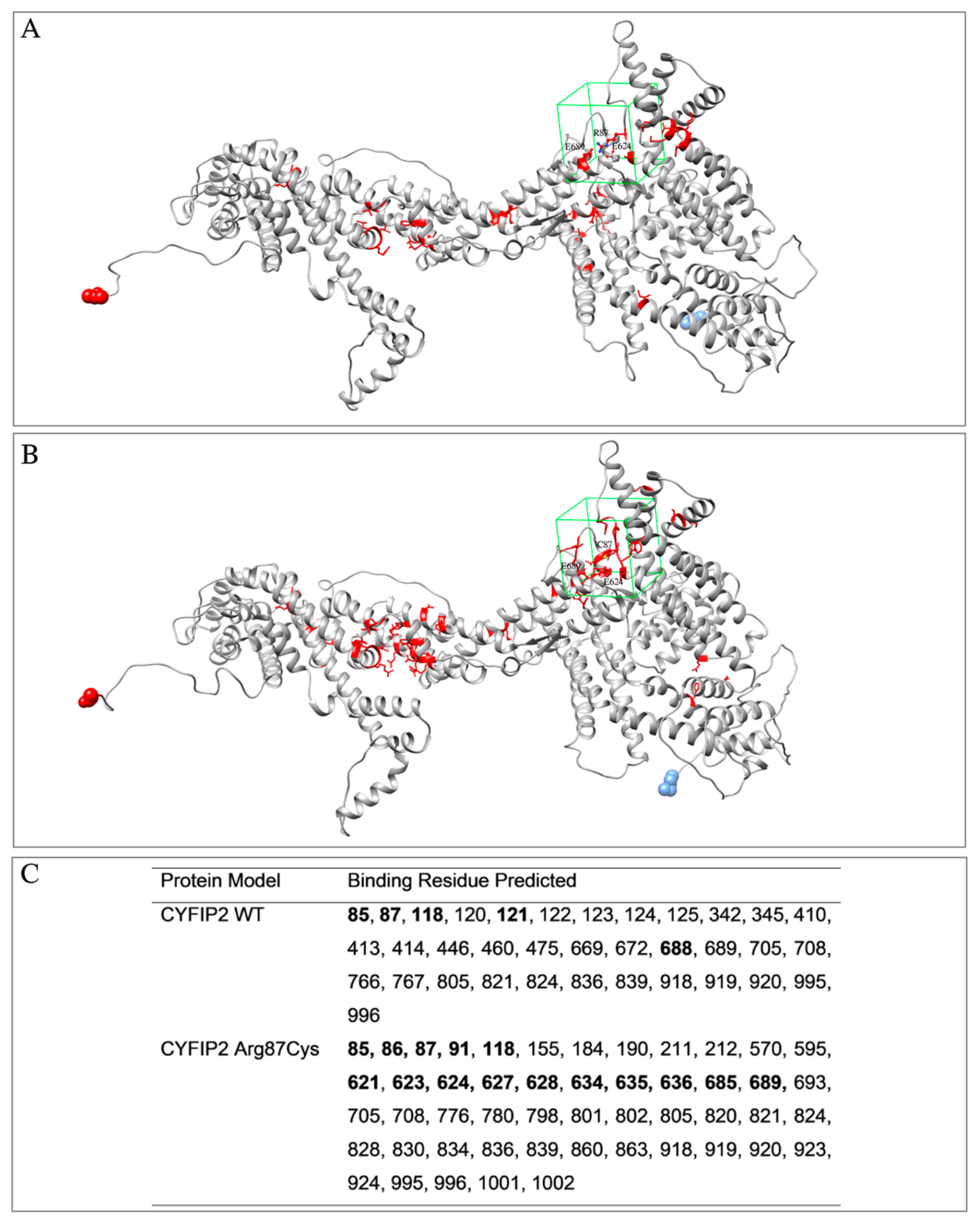 Biomedicines 12 00479 g001