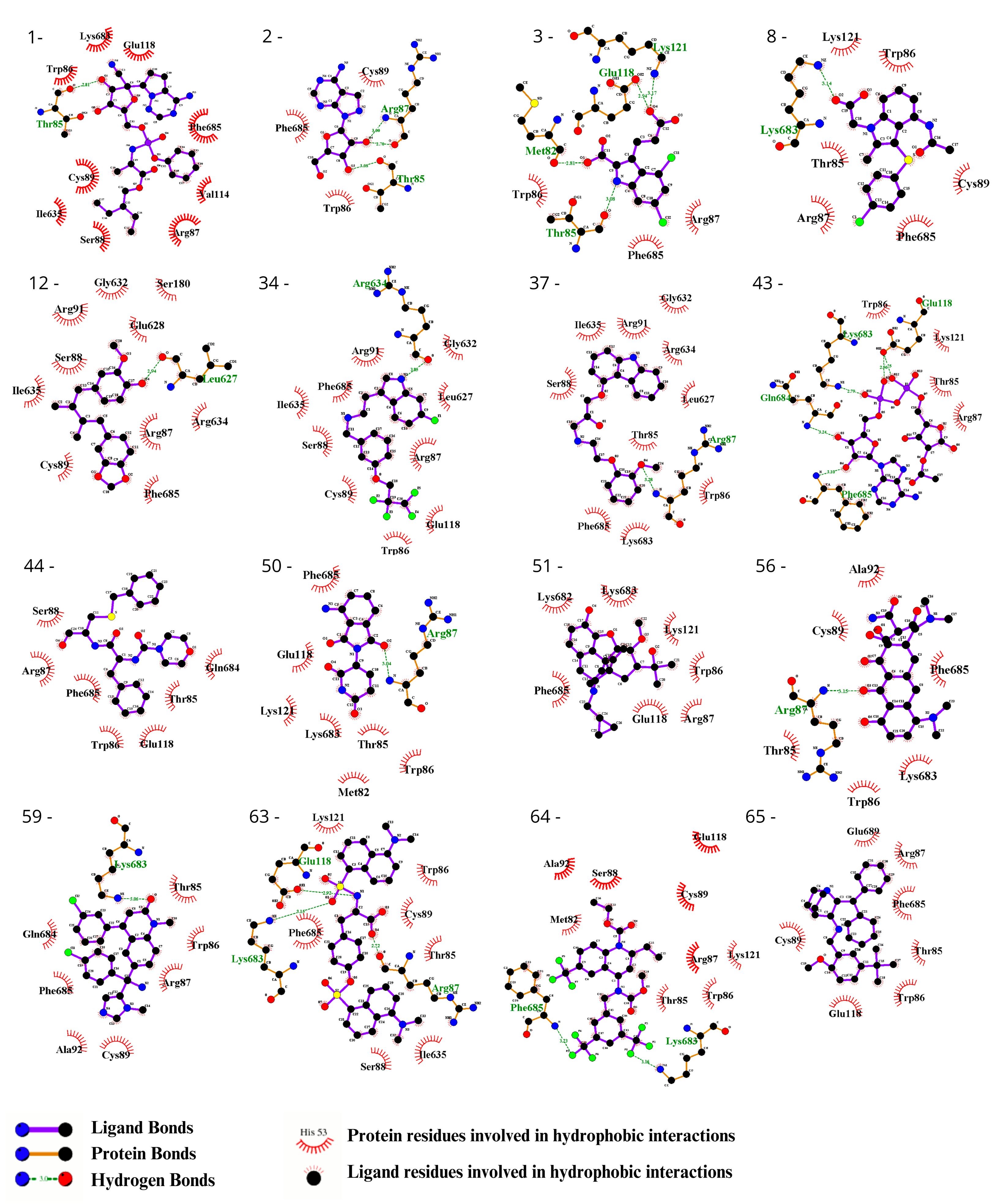 Biomedicines 12 00479 g002