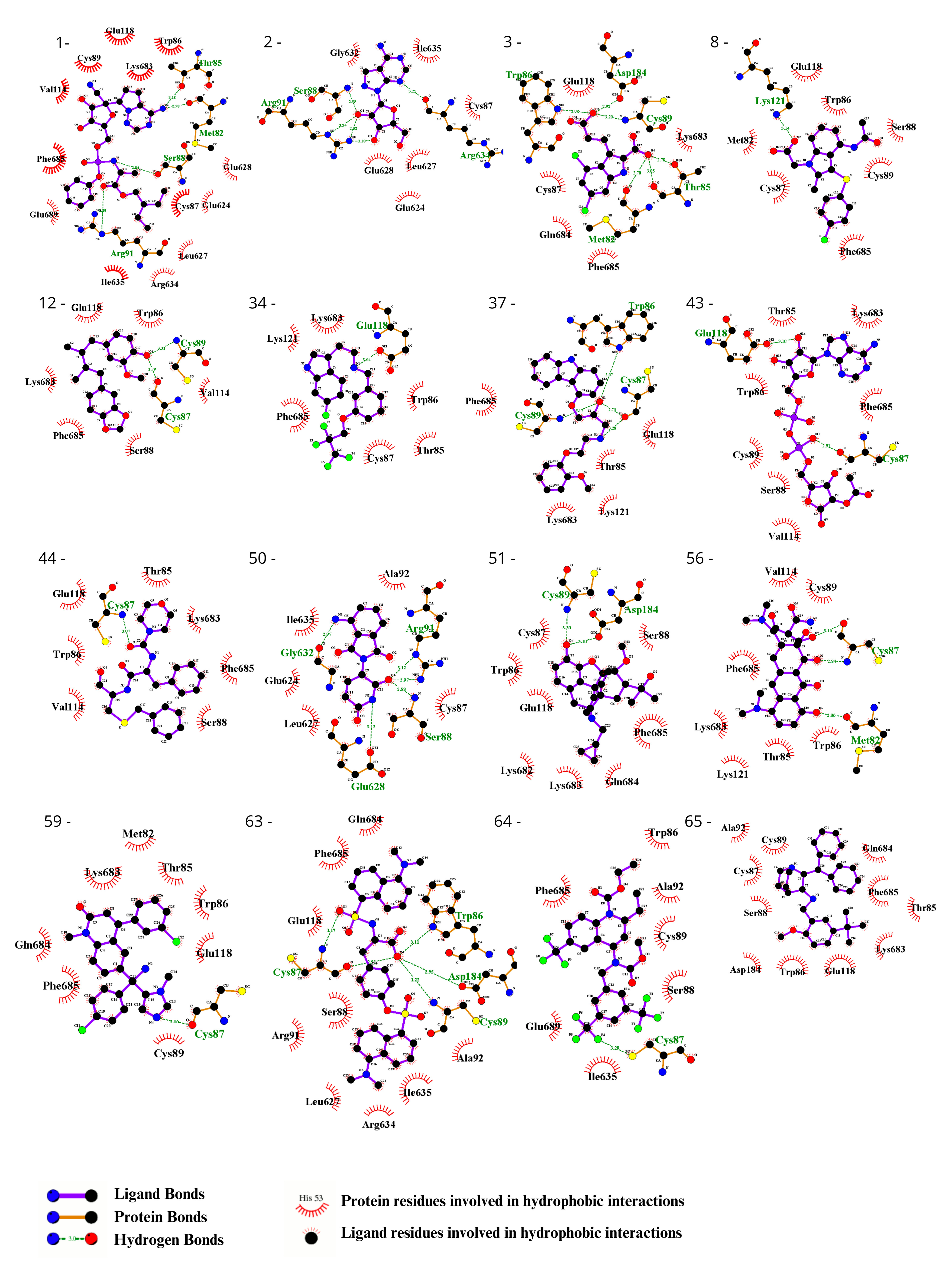 Biomedicines 12 00479 g003