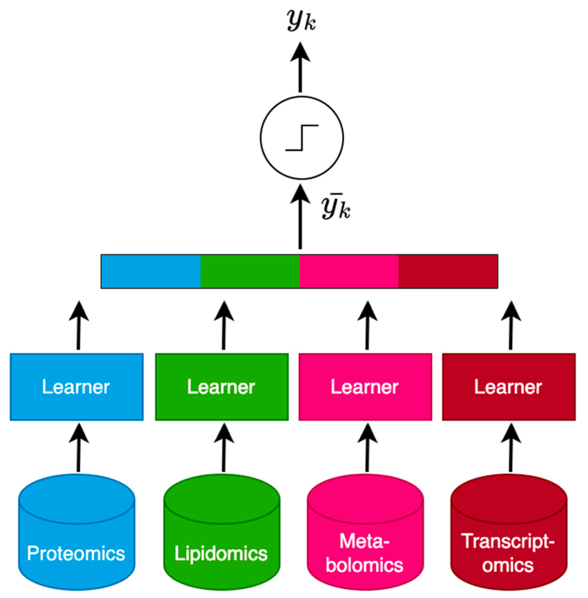 Biomedicines 12 00492 g002