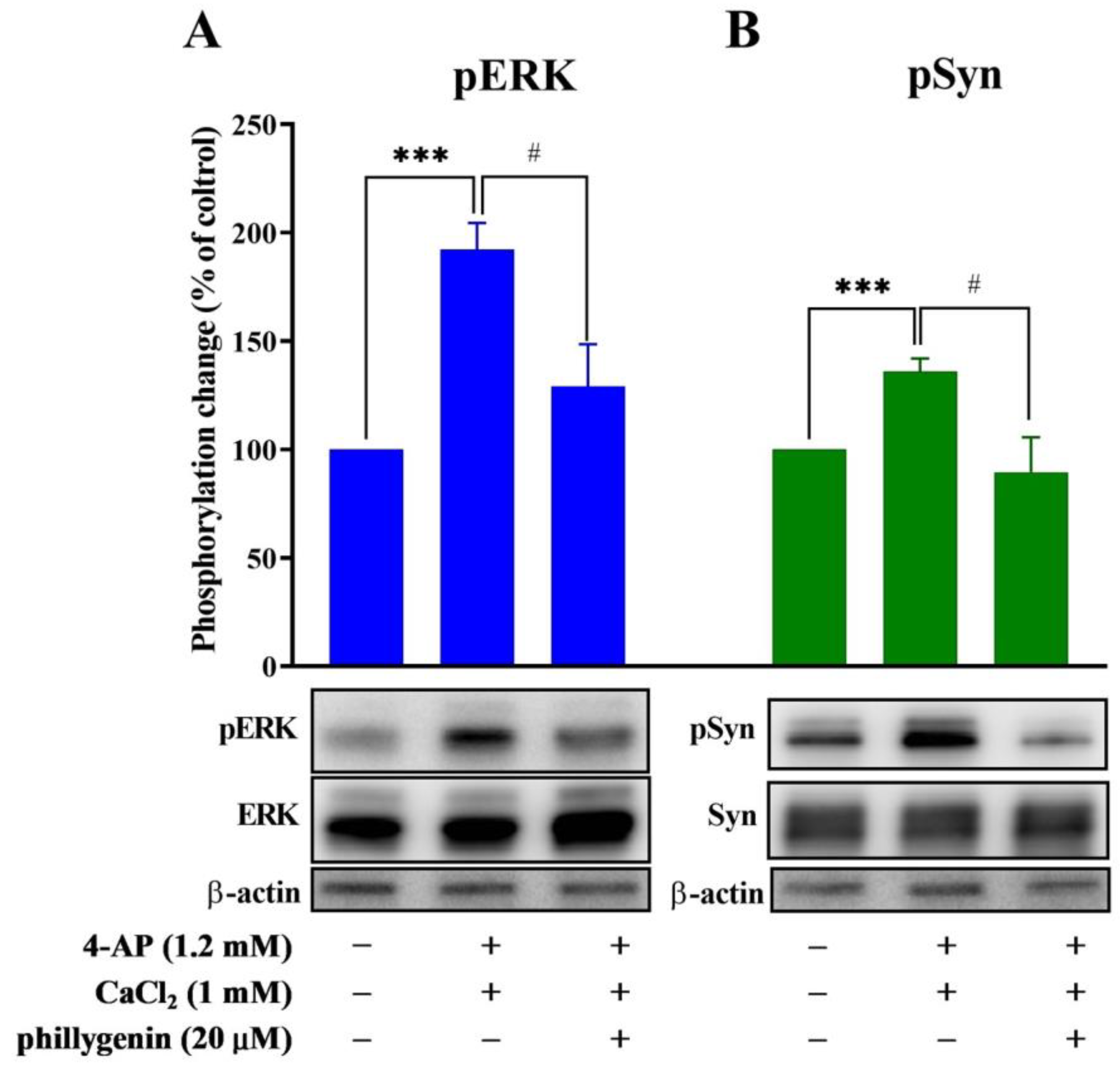 Biomedicines 12 00495 g005