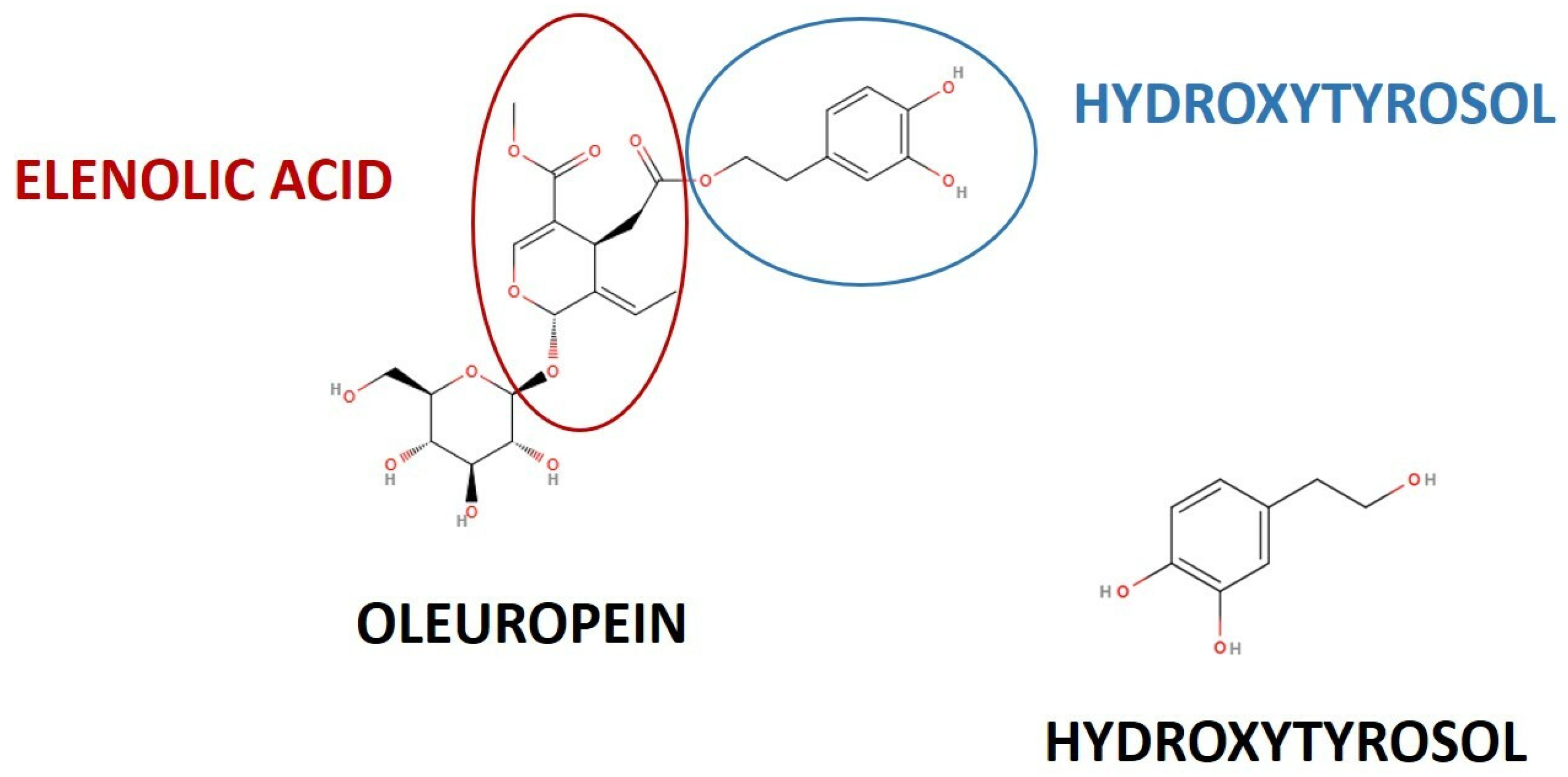 Biomedicines 12 00502 g001