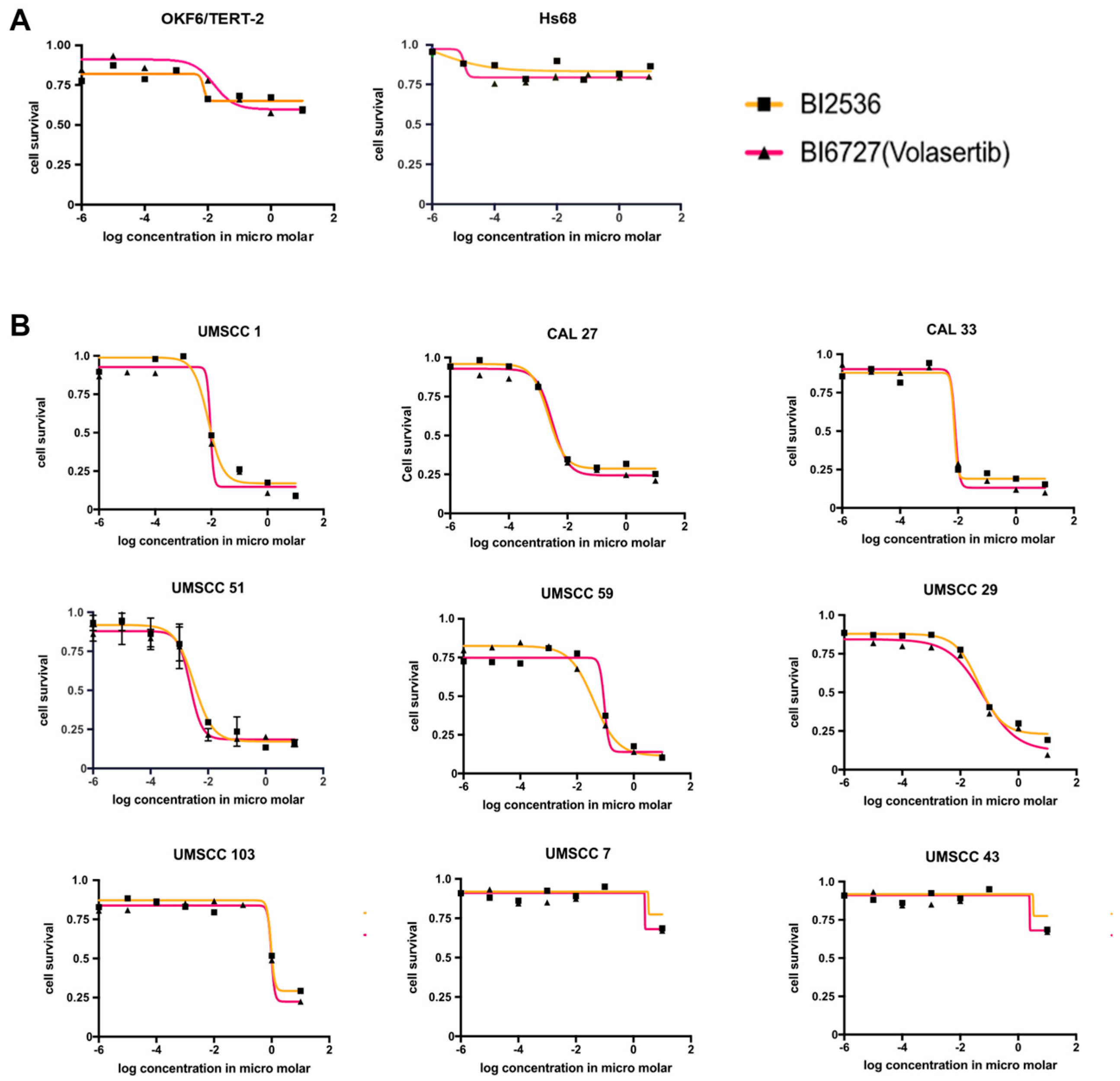Biomedicines 12 00503 g002